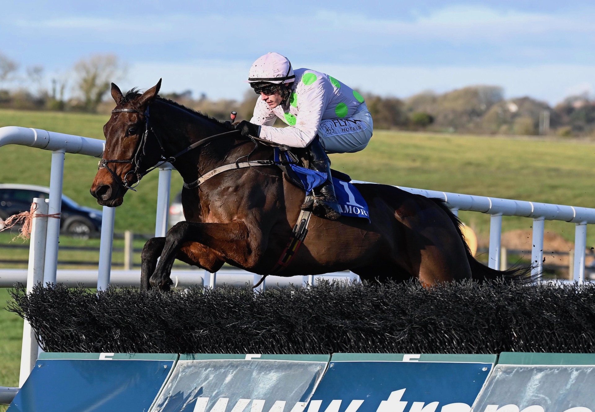 Gaelic Warrior (Maxios) Wins The Maiden Hurdle At Tramore