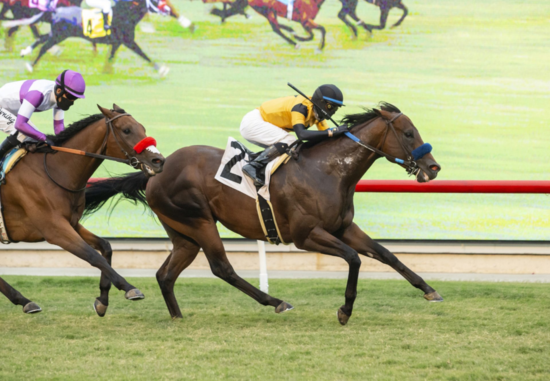 Galilean (Uncle Mo) Wins California Dreamin Stakes At Del Mar