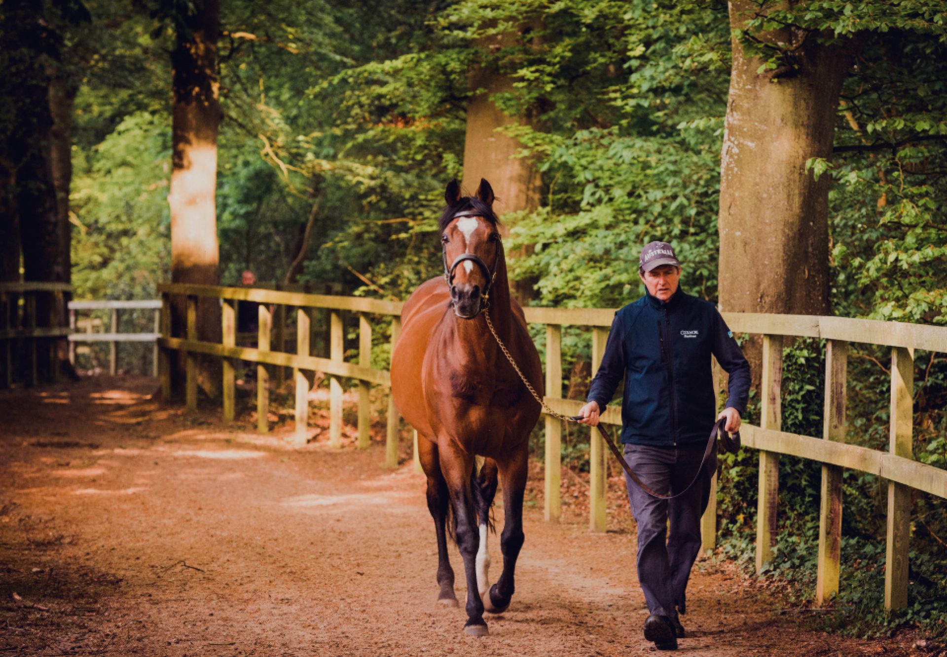 Galileo walking in the woods