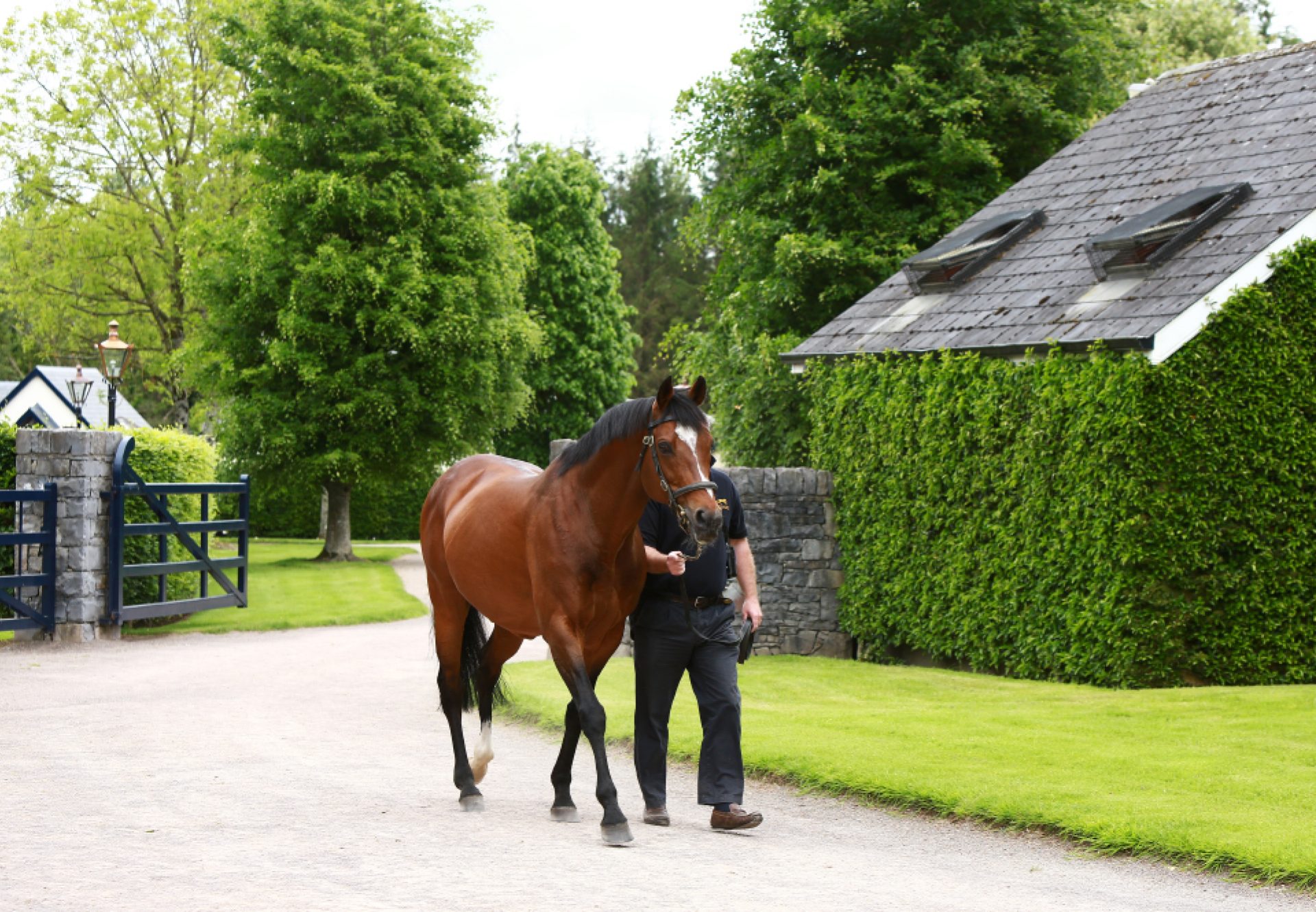 Galileo walking