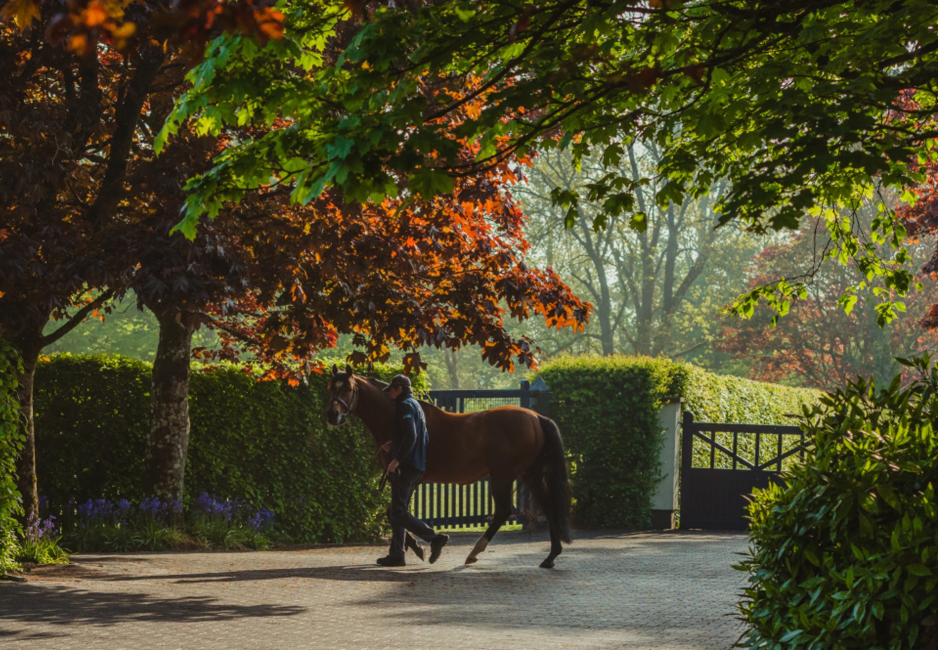 Galileo walking