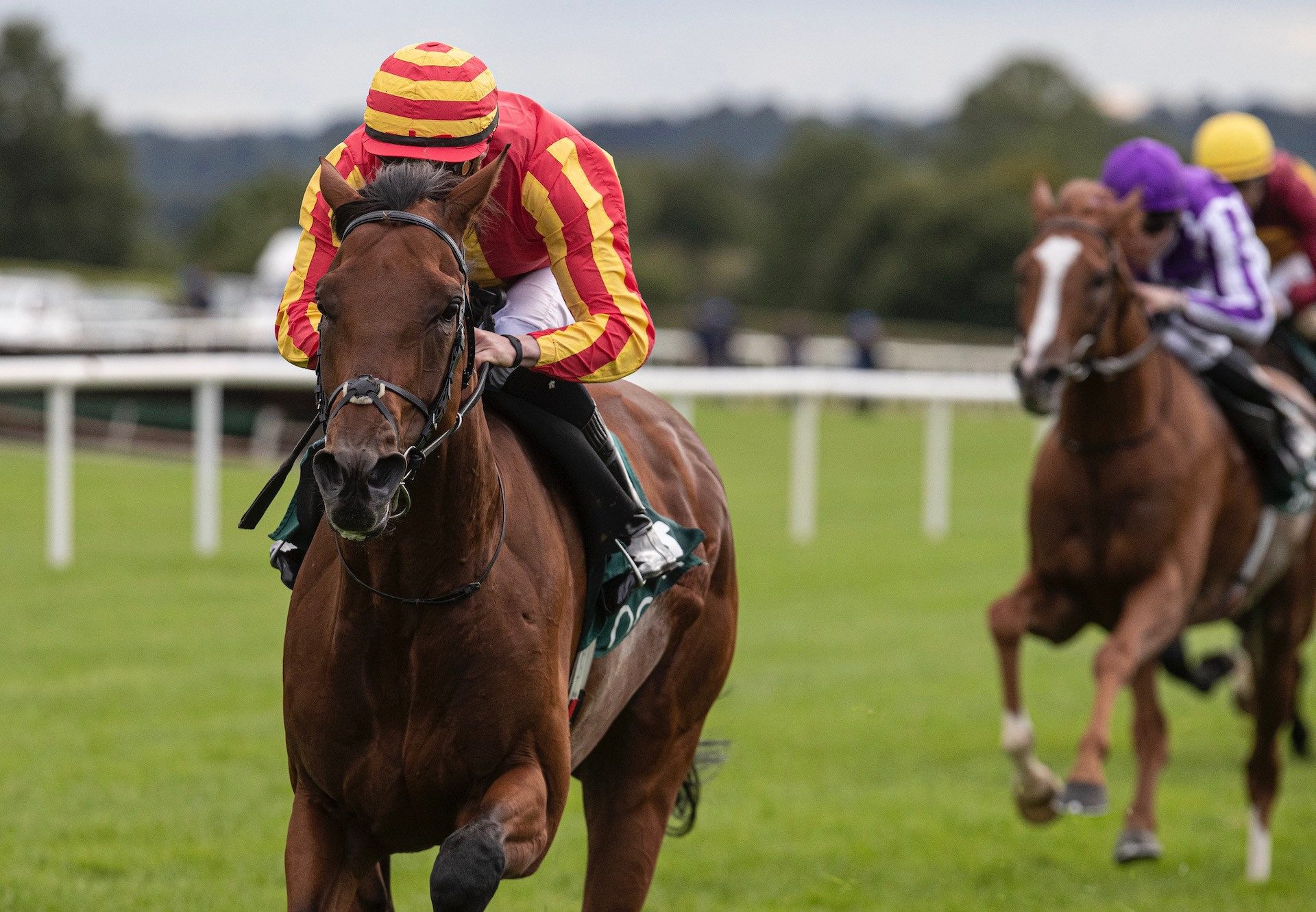 Galileo Chrome (Australia) Wins The Listed Yeats Stakes at Navan