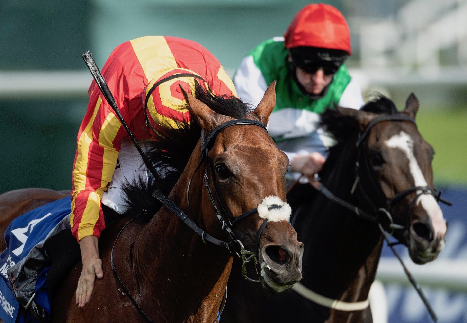 Galileo Chrome (Australia) Wins The Gr.1 St Leger at Doncaster