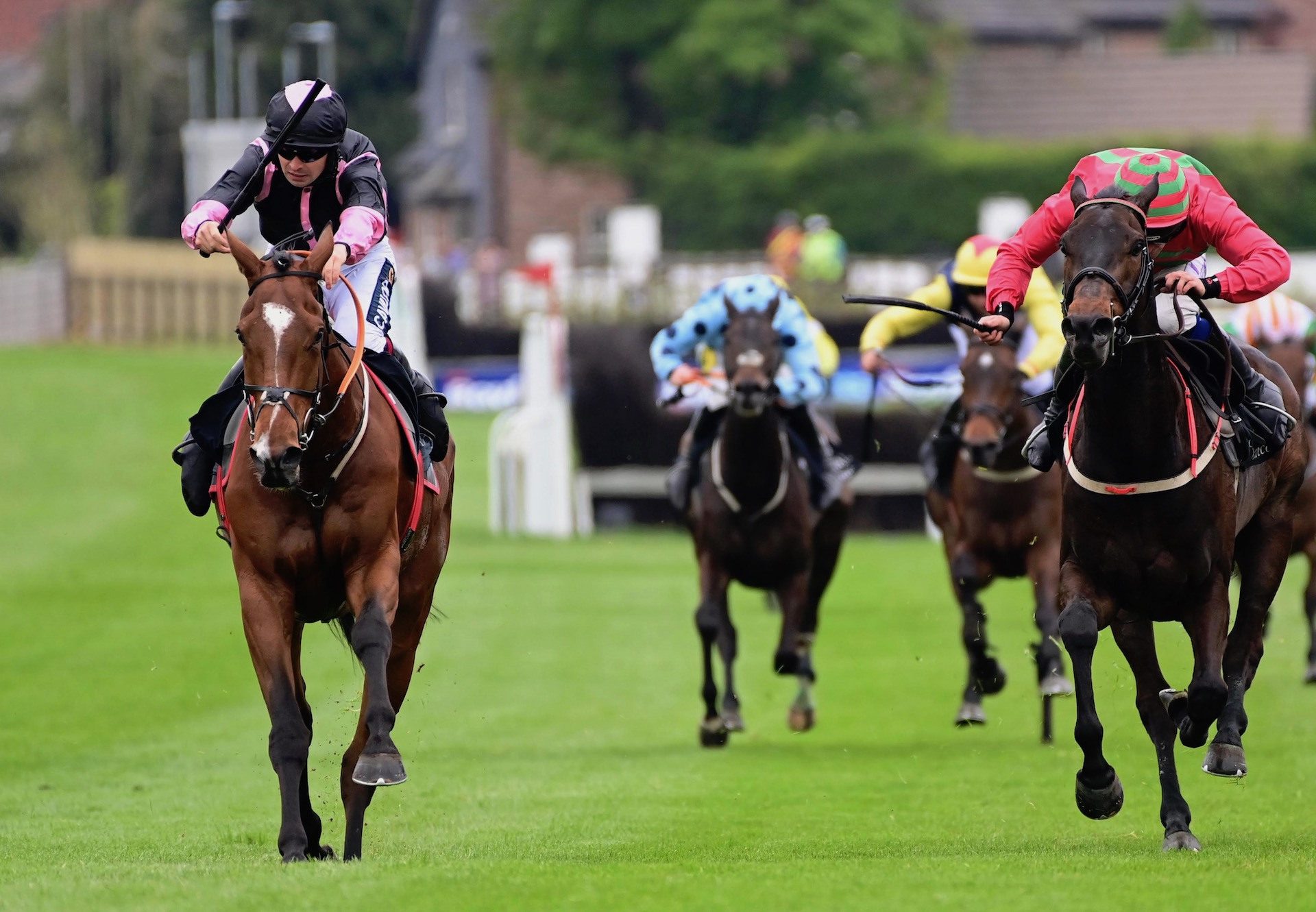 Gallyhill (Getaway) Wins His Beginners Chase At Down Royal