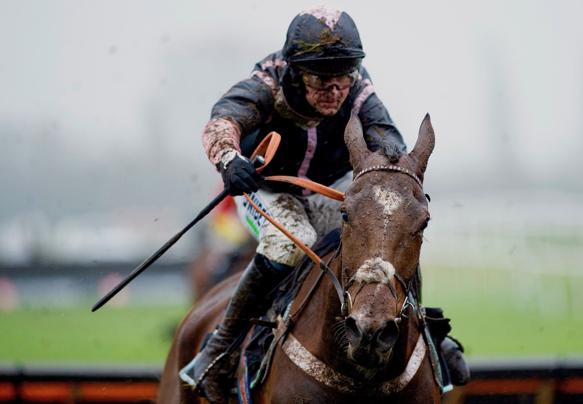 Gallyhill (Getaway) Wins The Novices Hurdle At Newbury