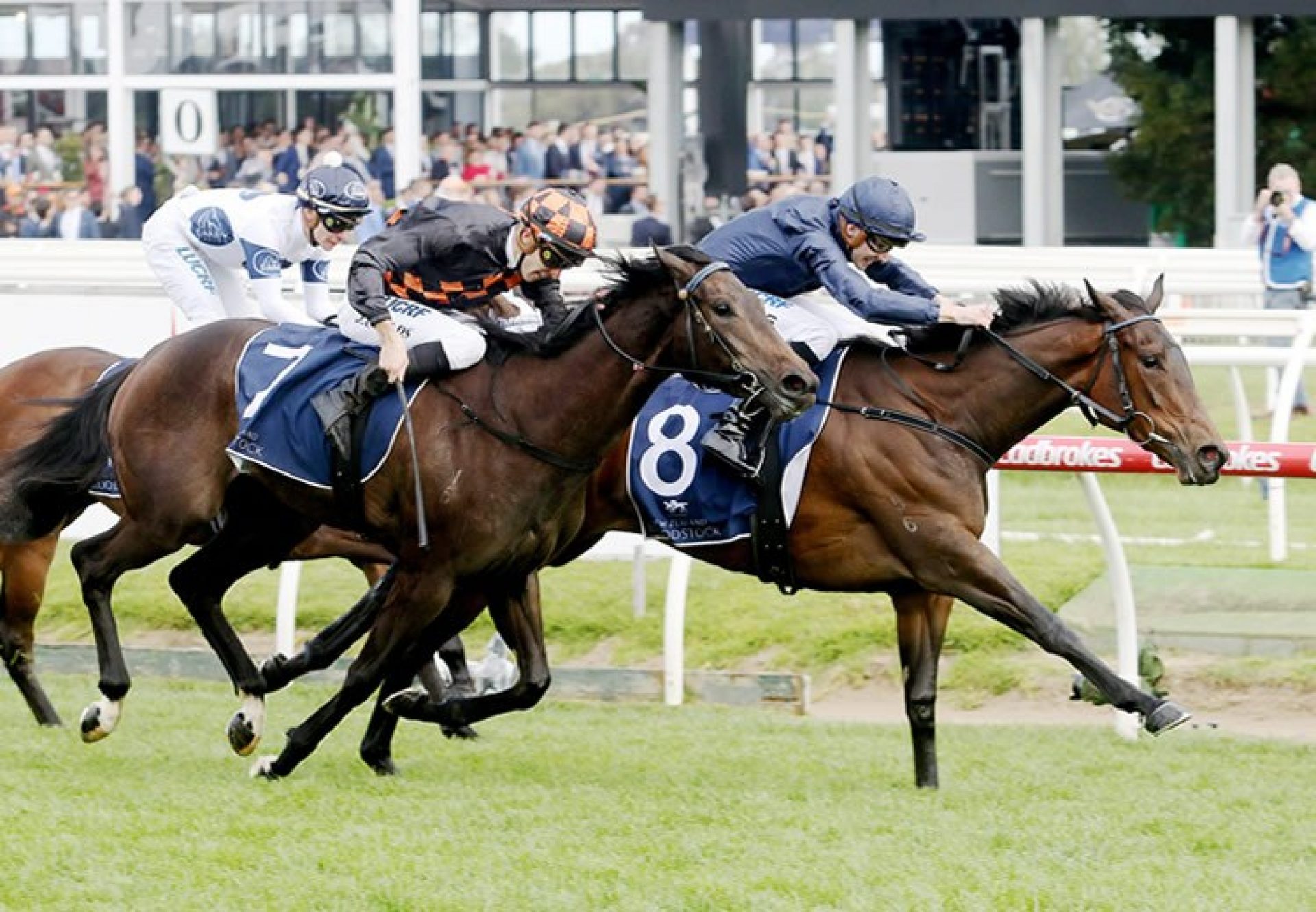 Gamay (Pierro) winning the Gr.3 Ethereal Stakes at Caulfield