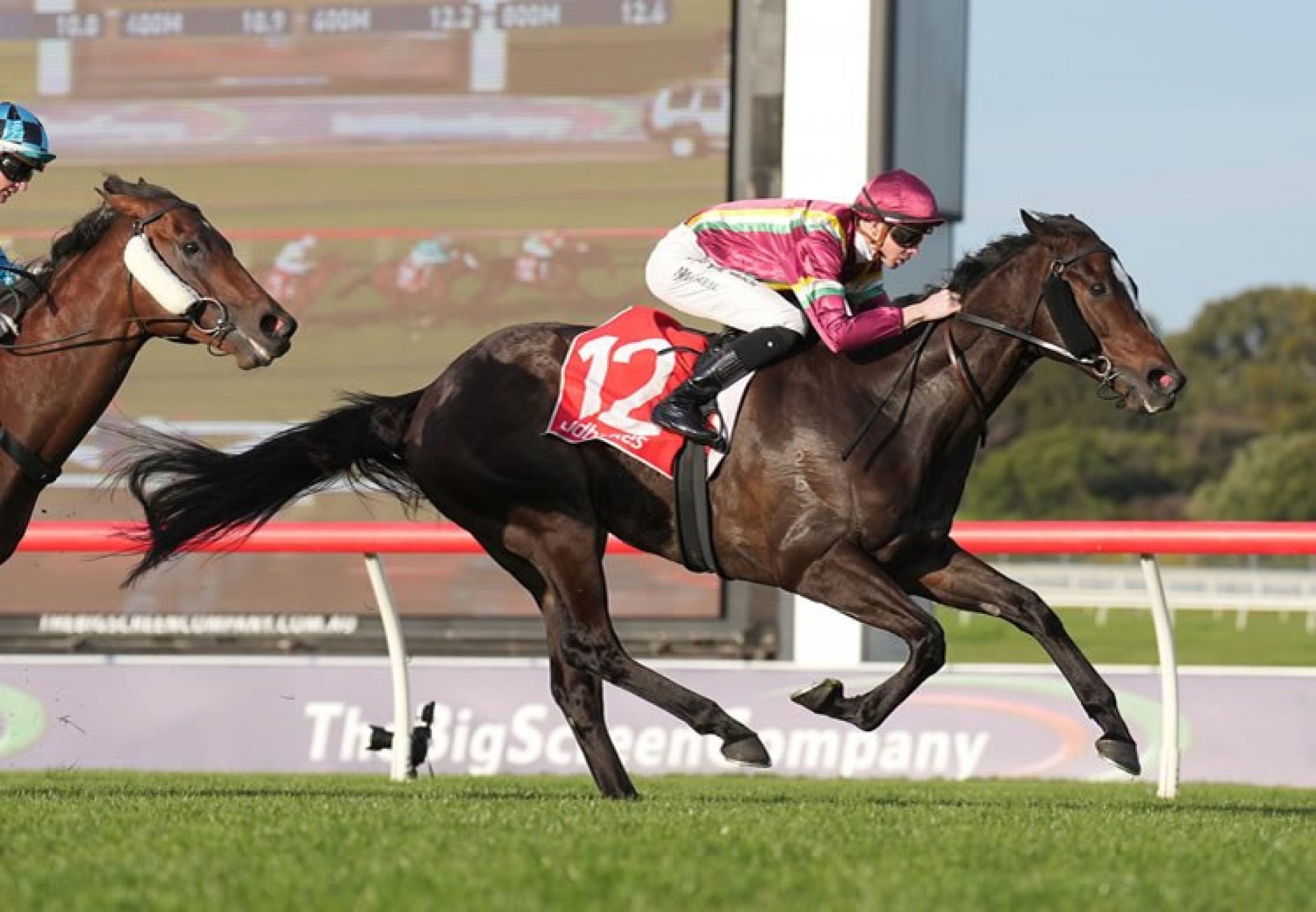 Gentleman Roy (So You Think) wins Gr.3 Sandown Stakes at Sandown