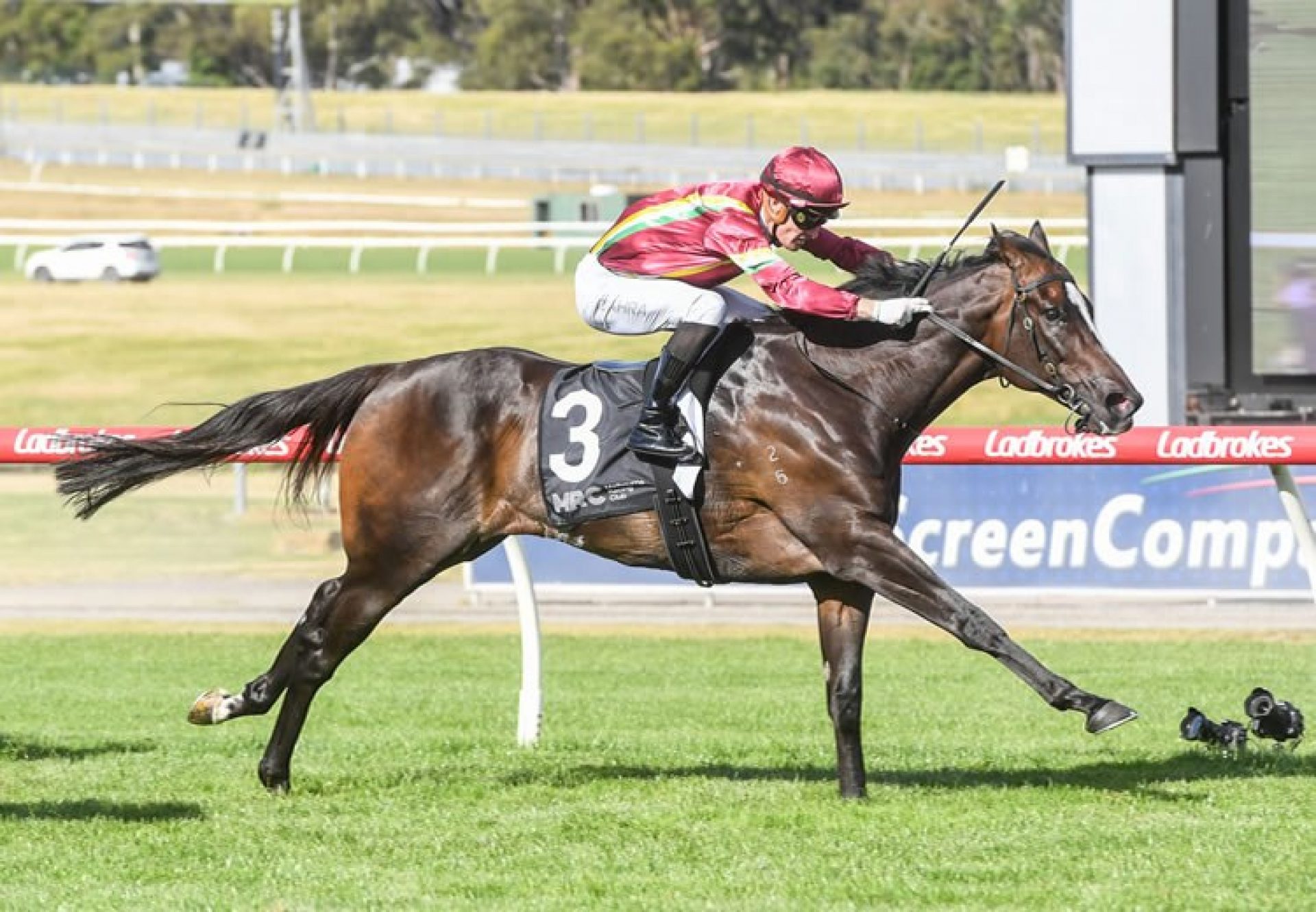 Gentleman Roy (So You Think) winning the Listed Dillon Stakes at Sandown