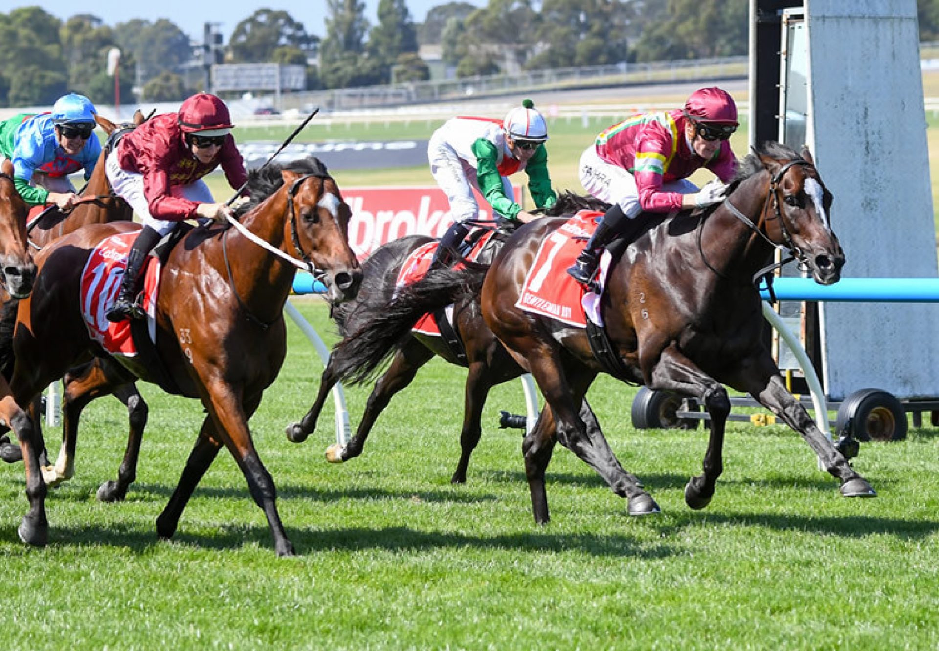 Gentleman Roy (So You Think) finishing first past the post in the Gr.1 C F Orr Stakes at Orr Stakes at Sandown