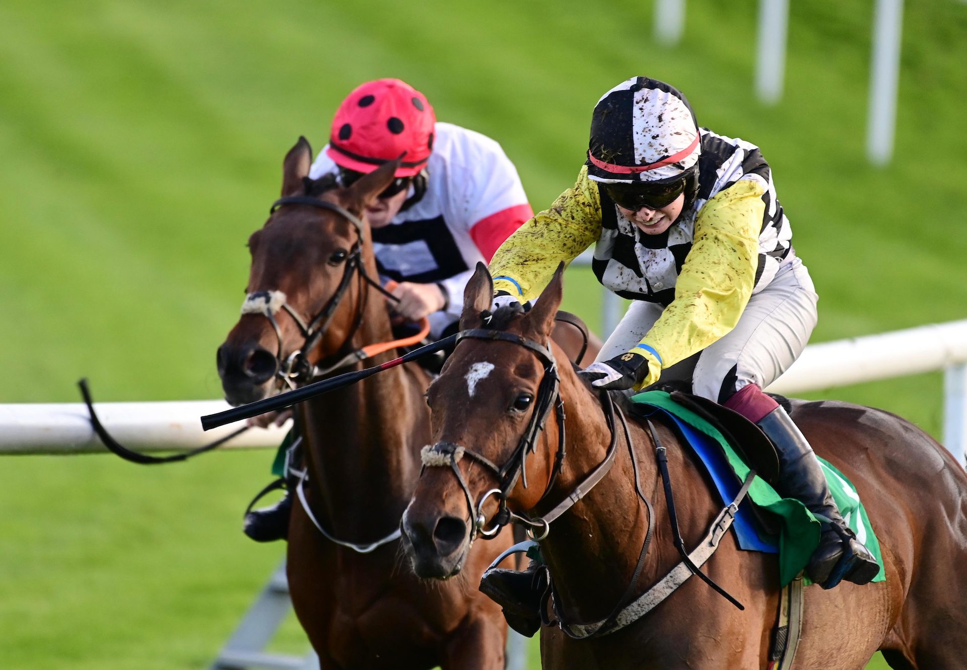 Get Me To The Park (Walk In The Park) Wins The Mares Bumper At Downpatrick