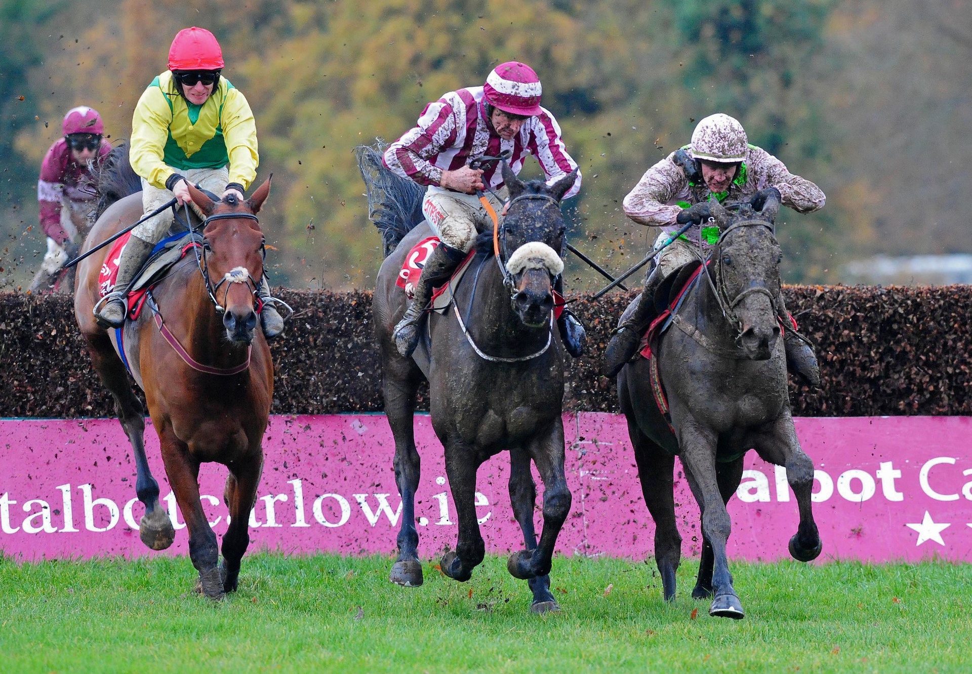 Getabird (Getaway) Wins At Gowran