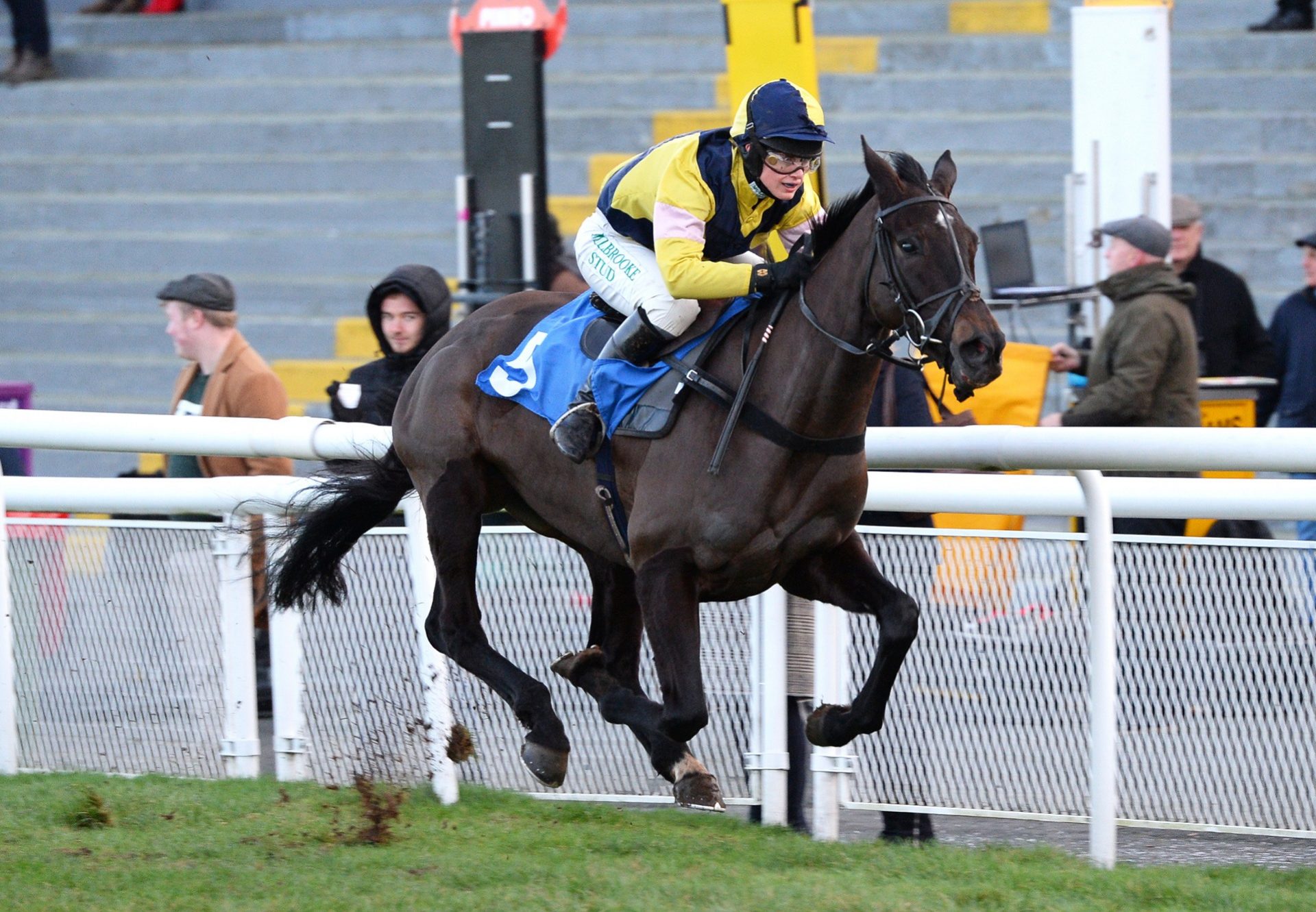 Getariver (Getaway) winning a bumper at Ludlow