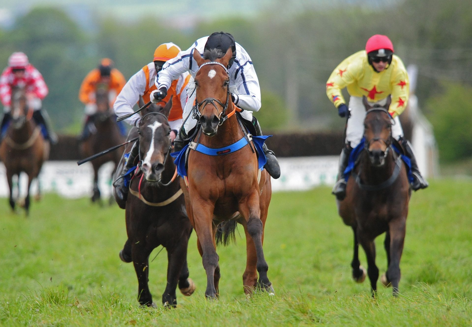 Getaway  Fred Wins At  Dawstown