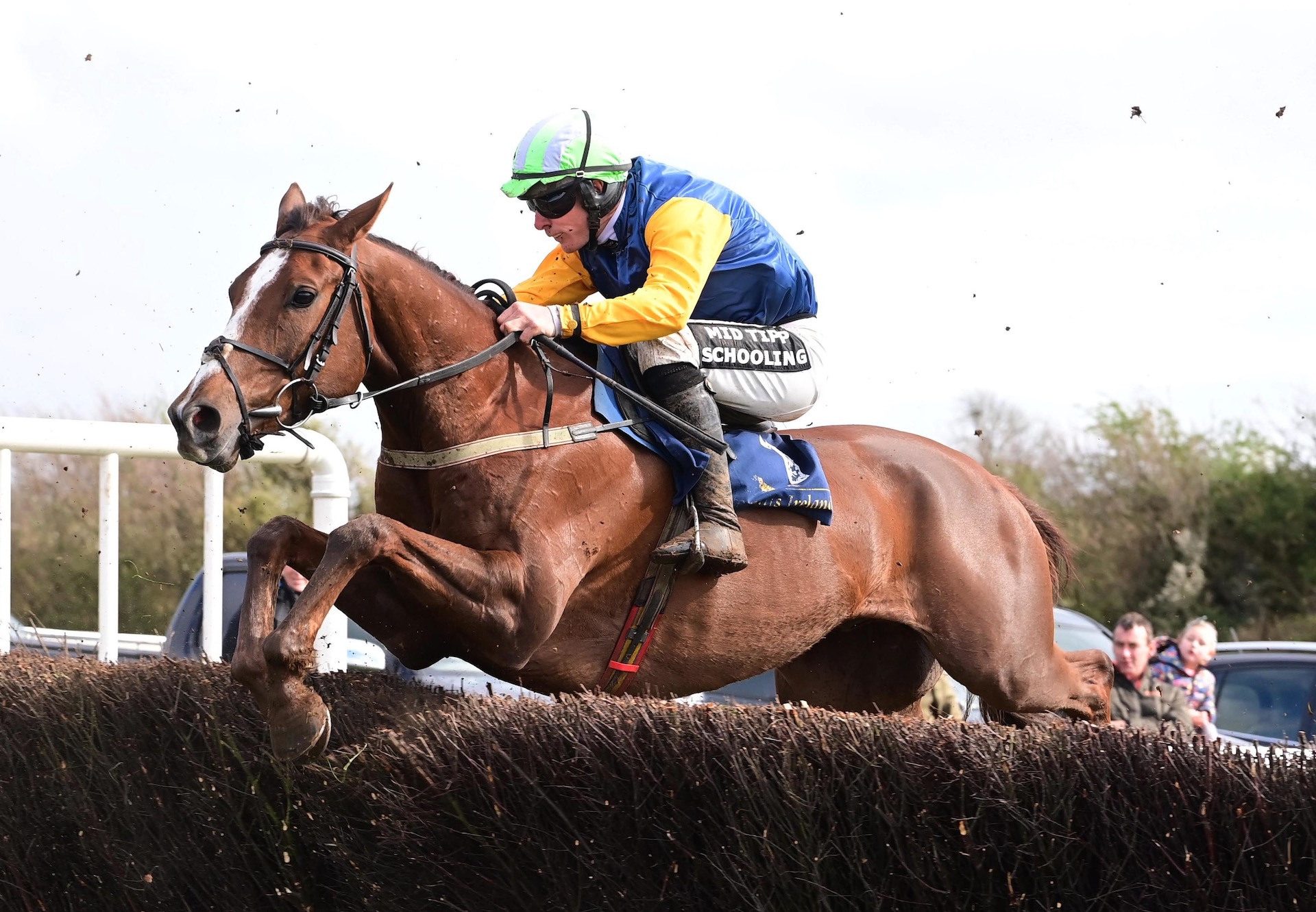 Getaway Train (Getaway) Wins At Quakerstown