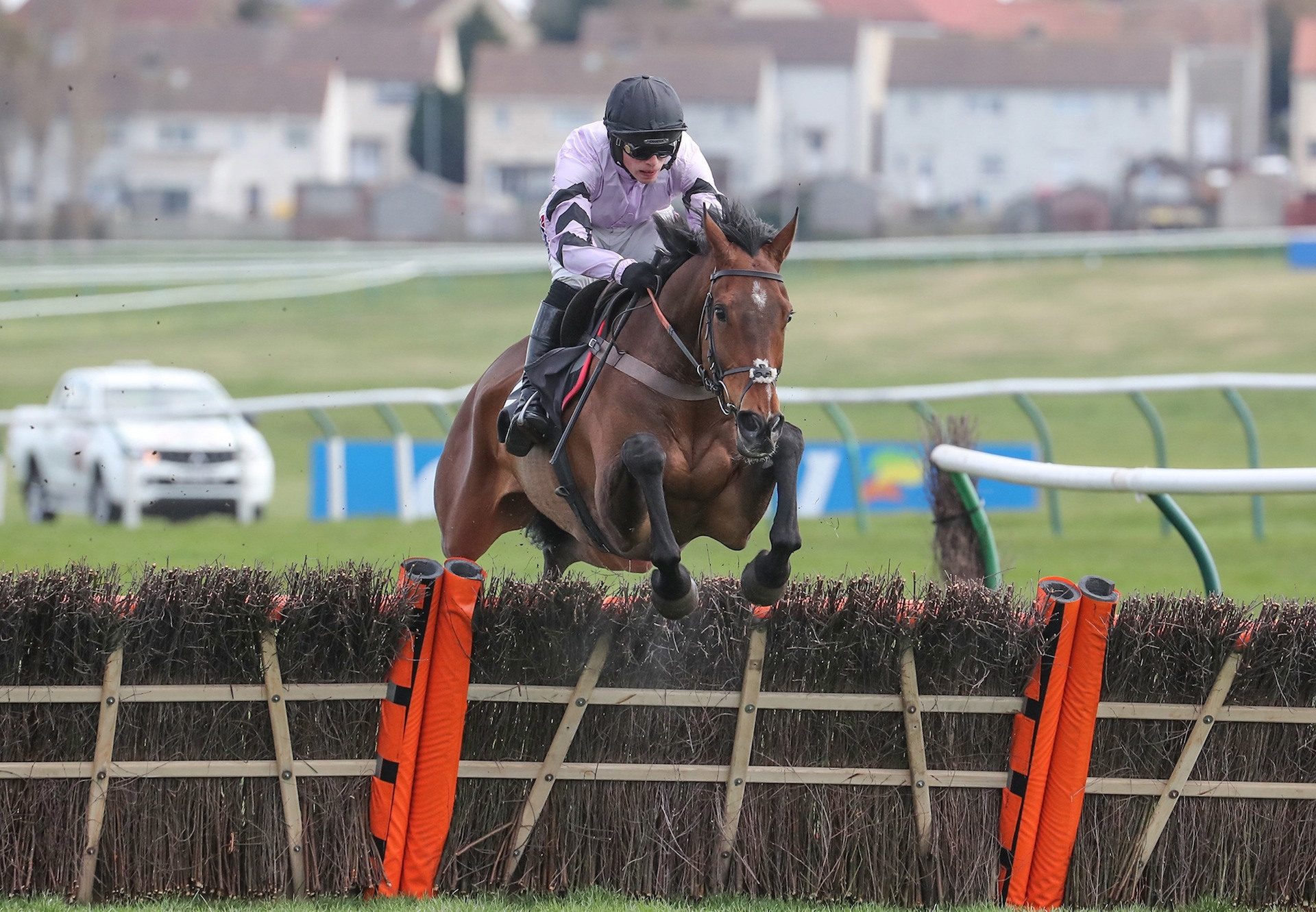 Getaway Trump Scores At Ayr