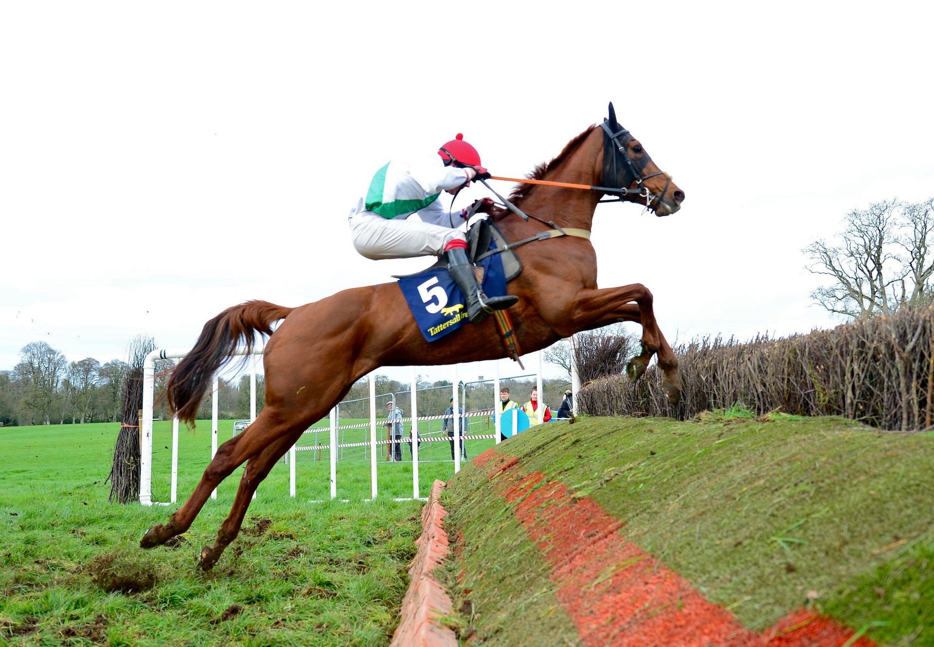 Getawaytonewbay (Getaway) winning the 6YO Mares Maiden p2p at Durrow