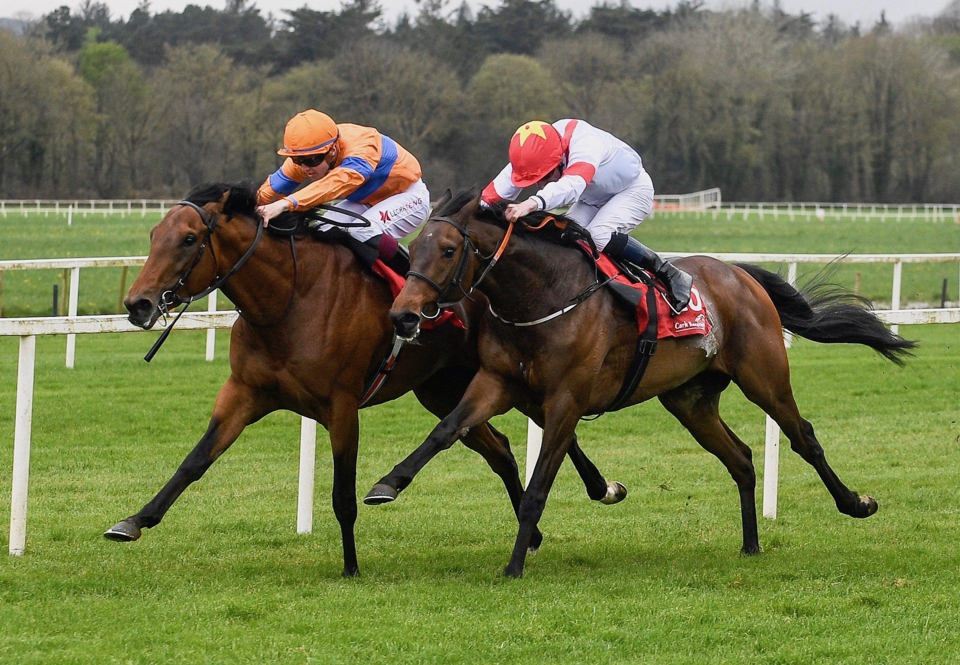 Ghasham (Churchill) Wins His Maiden At Cork