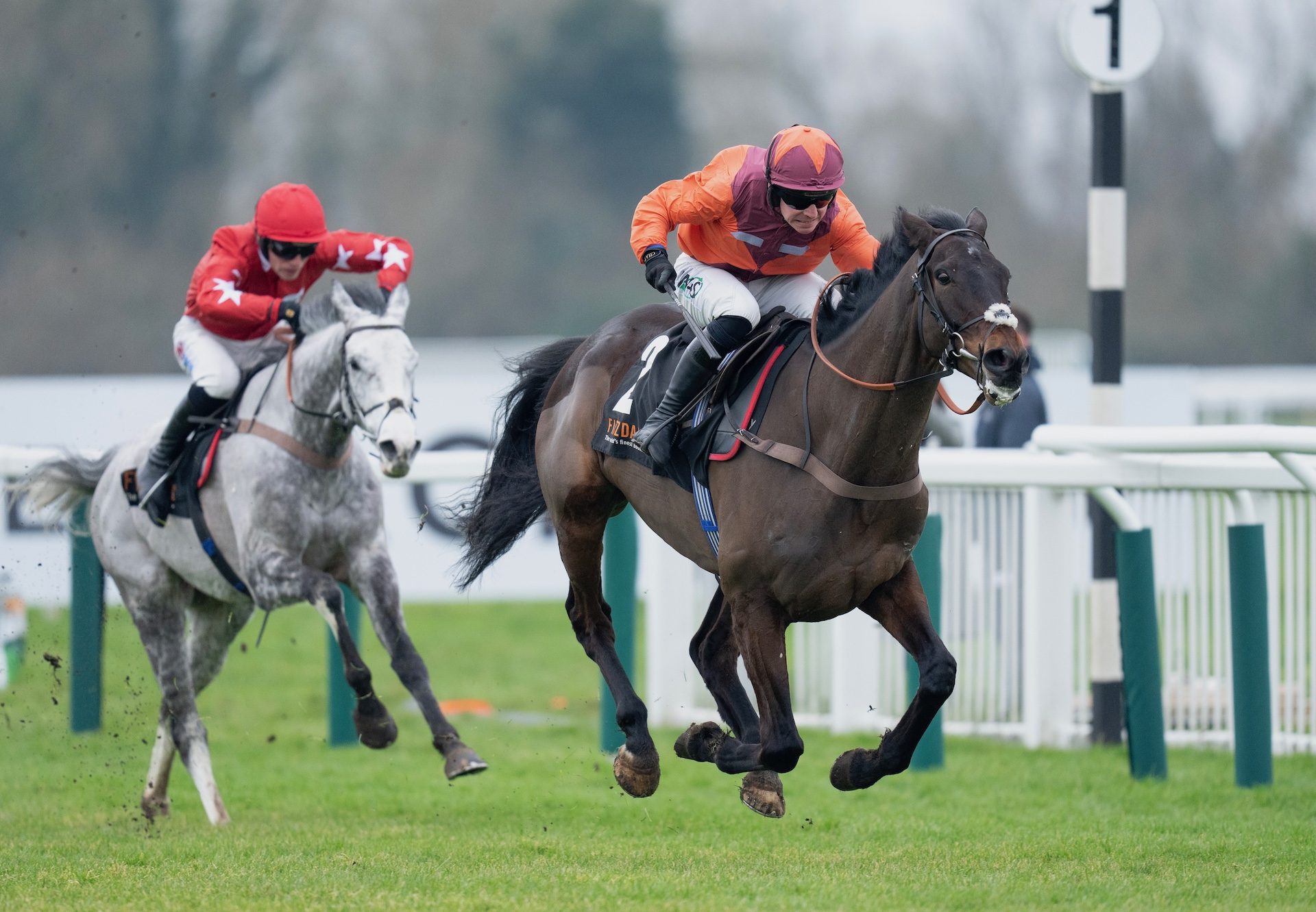 Gidleigh Park Wins The Grade 2 Lightning Novices Chase