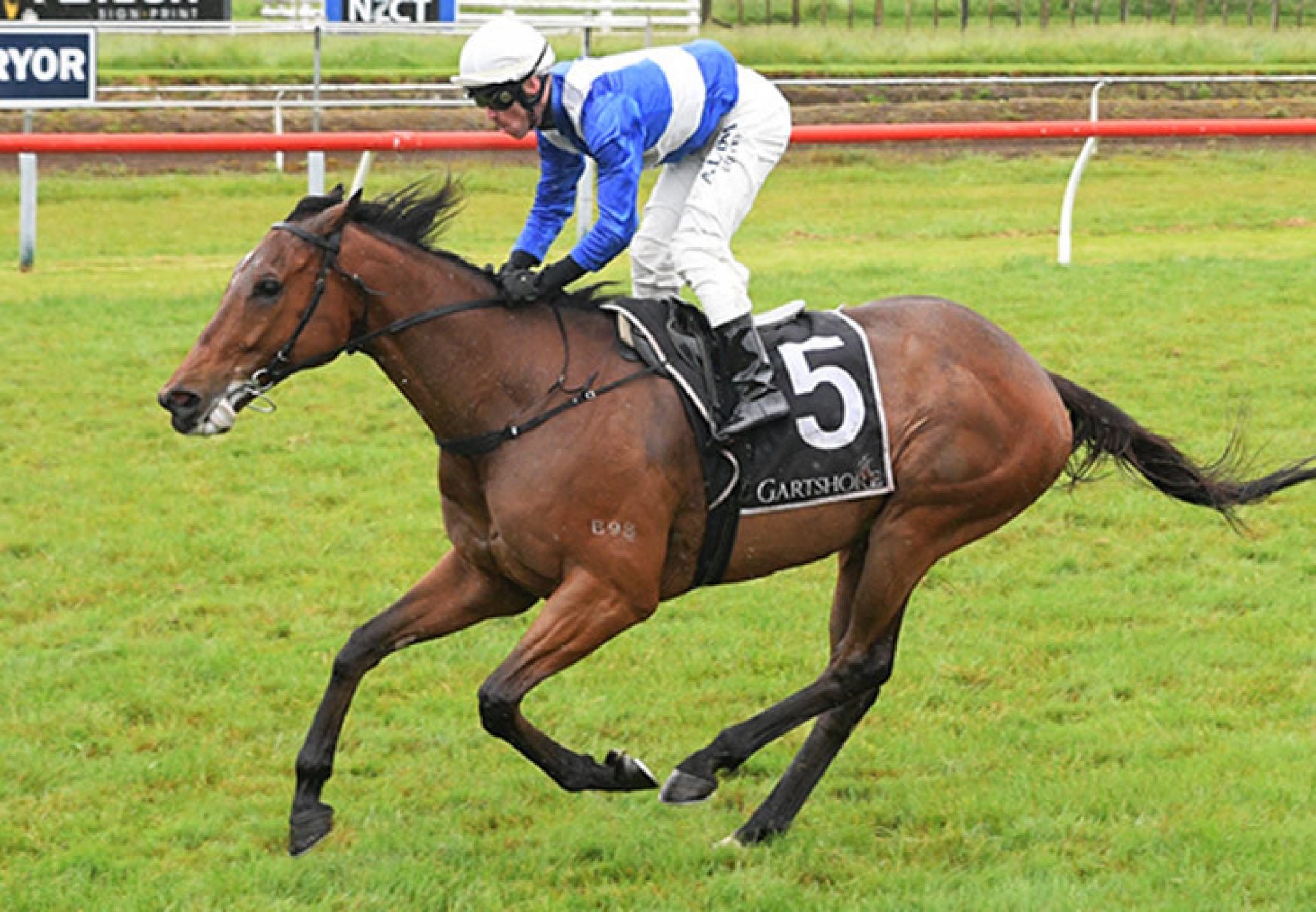 Gino Severini (Fastnet Rock) wins the G2 Tauranga Stakes in New Zealand