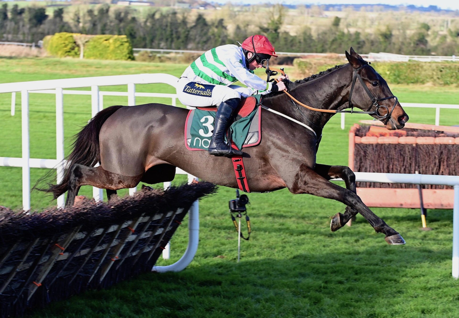 Ginto (Walk In The Park) Lands The Grade 2 Navan Novice Hurdle at Navan