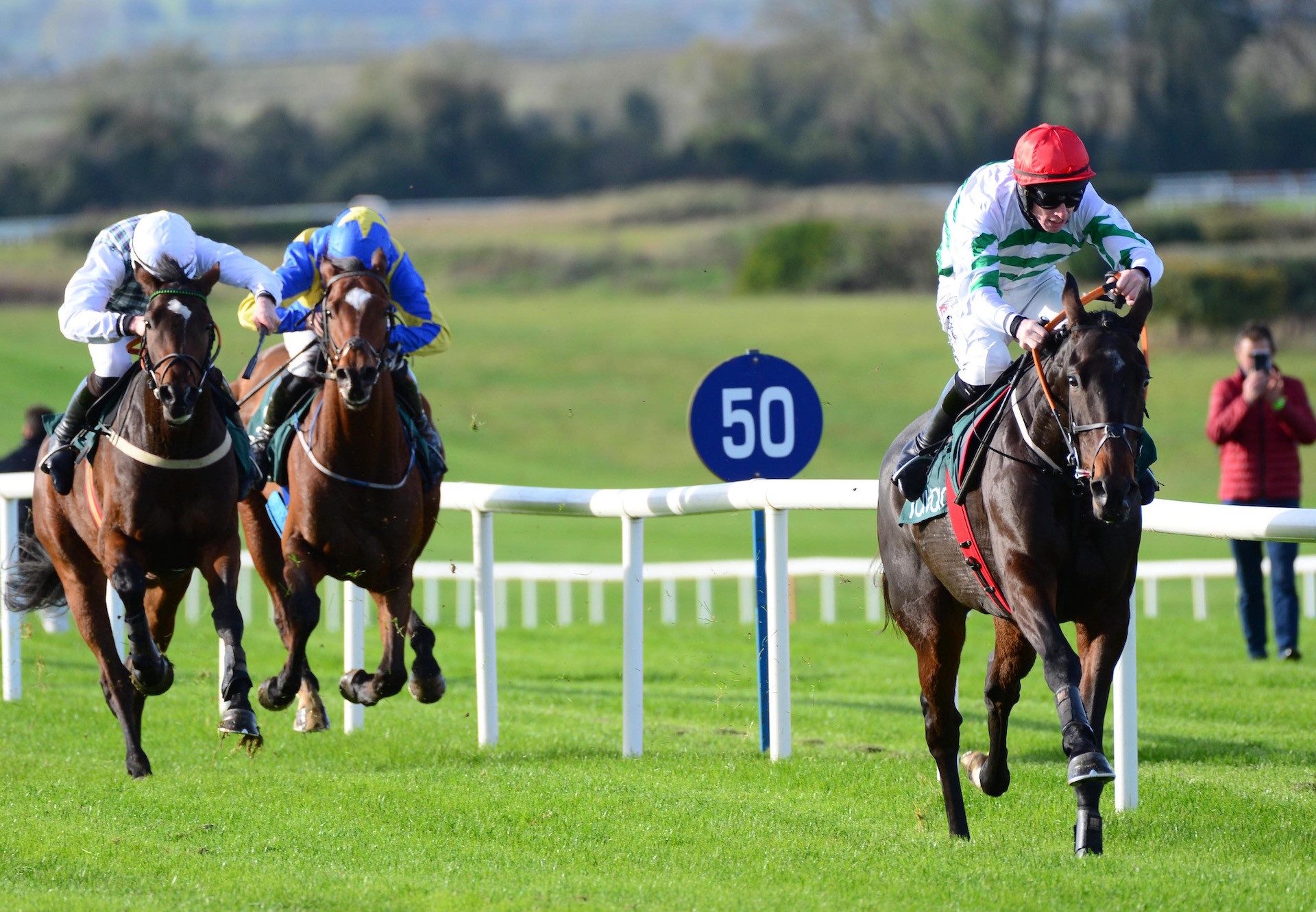 Ginto (Walk In The Park) Wins His Hurdle Debut At Navan