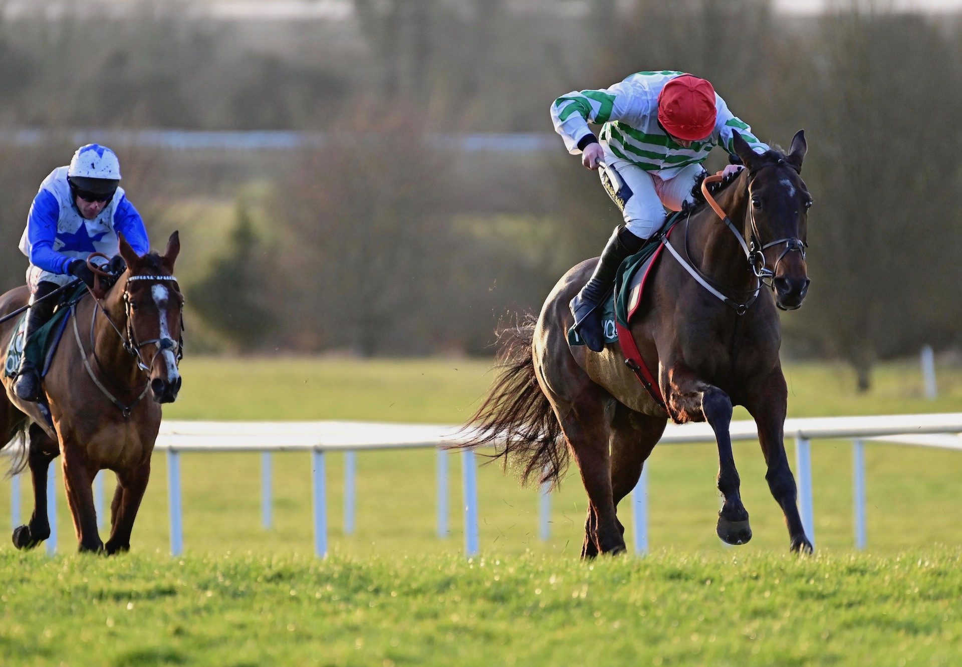 Ginto (Walk In The Park) Wins The Bumper At Navan