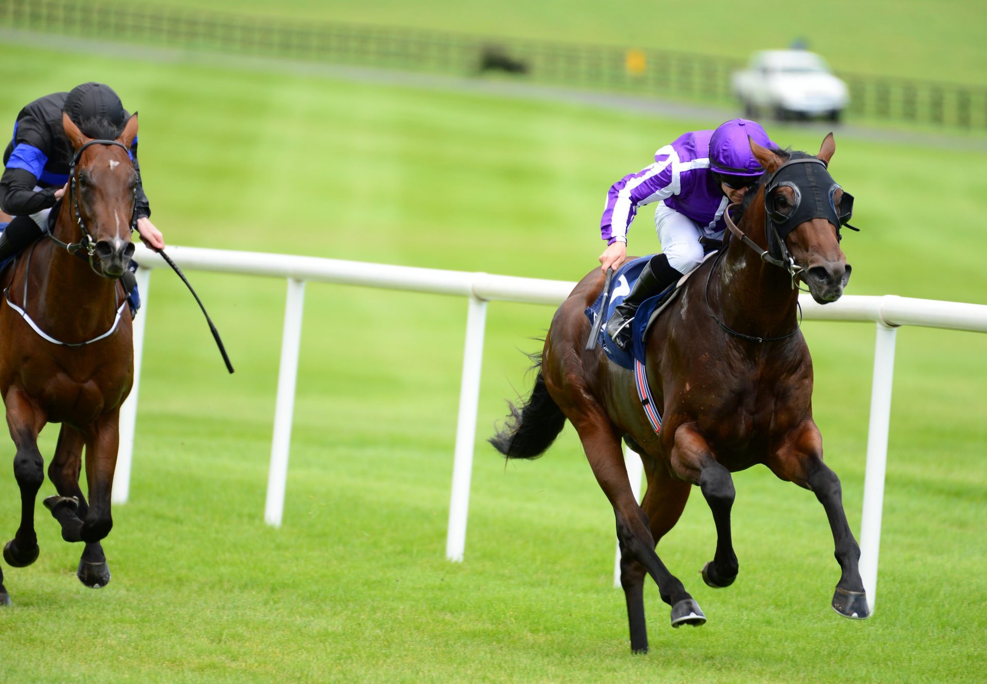 Giorgio Vasari (Air Force Blue) records Naas Victory