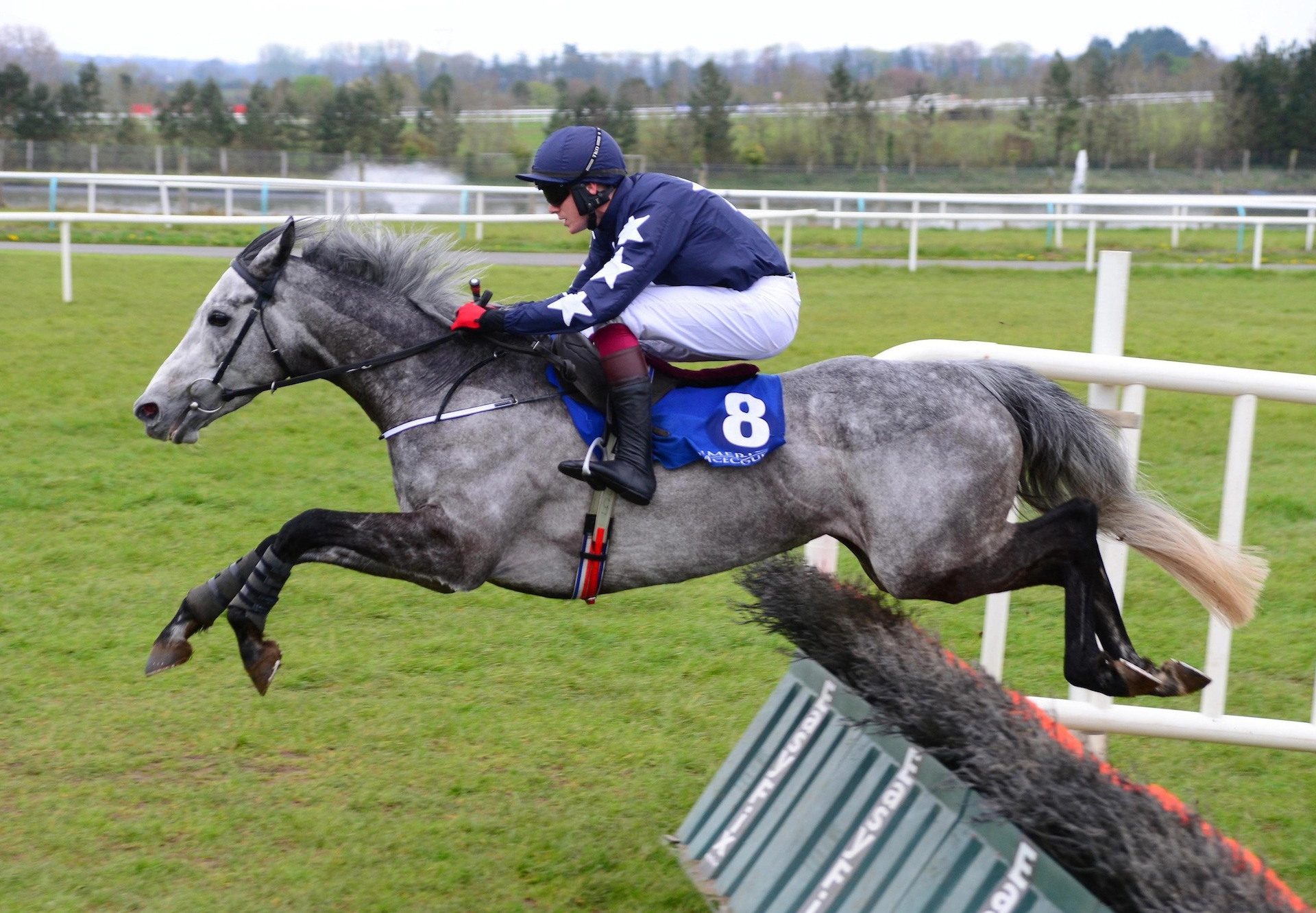 Gipsy Lee Rose (Walk In The Park) Wins At Limerick