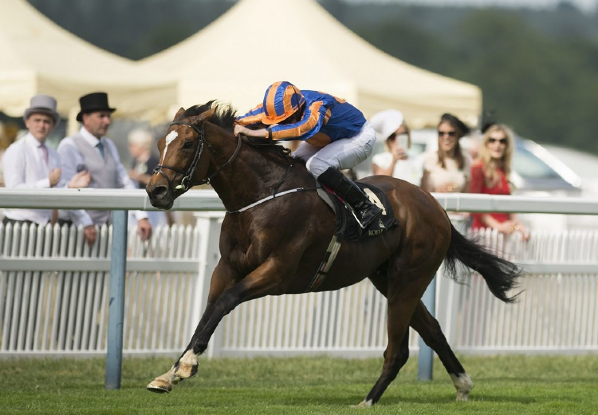 Gleneagles winning the St James’s Palace Stakes at Royal Ascot