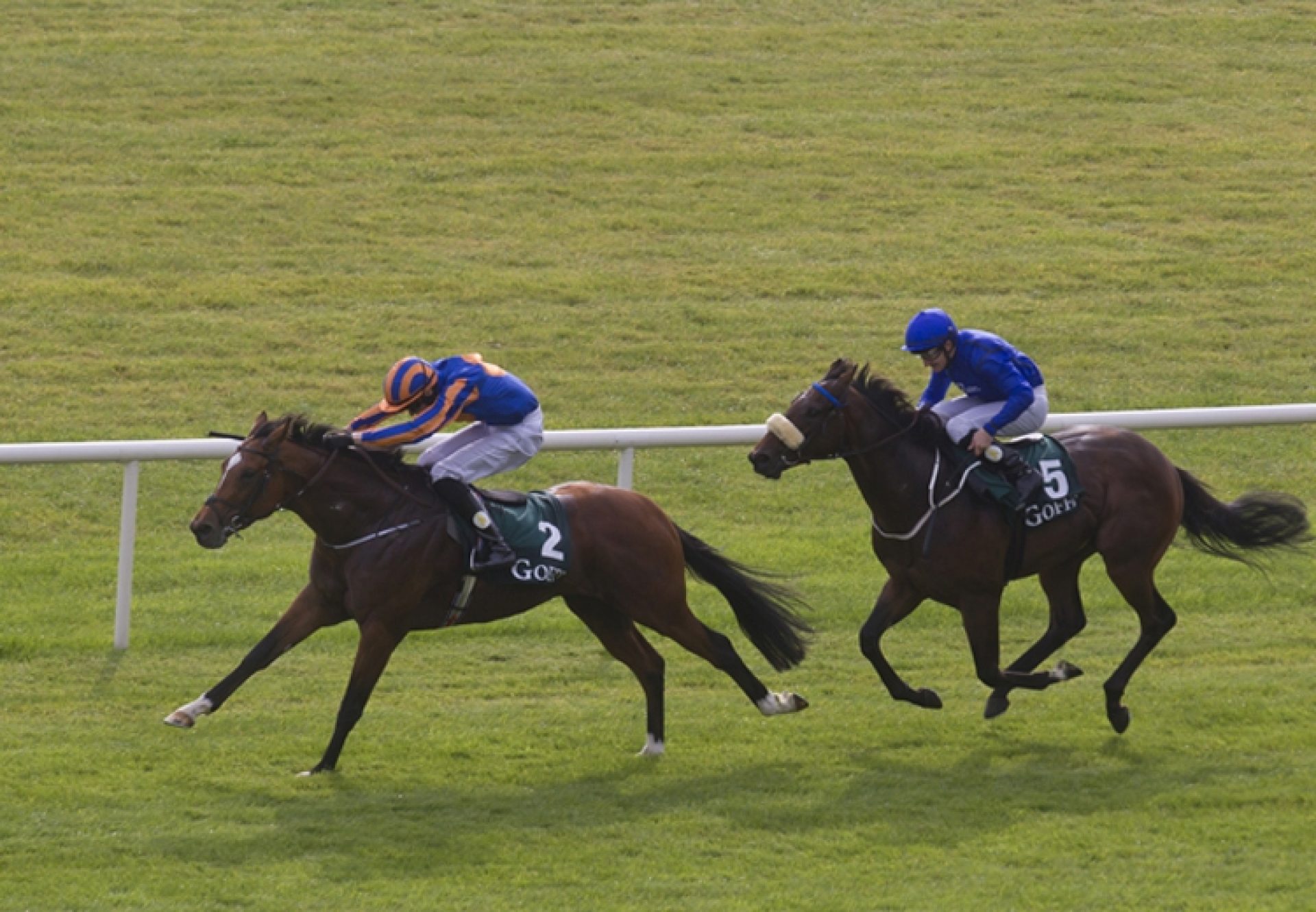 Gleneagles (Galileo) winning the National Stakes at the Curragh