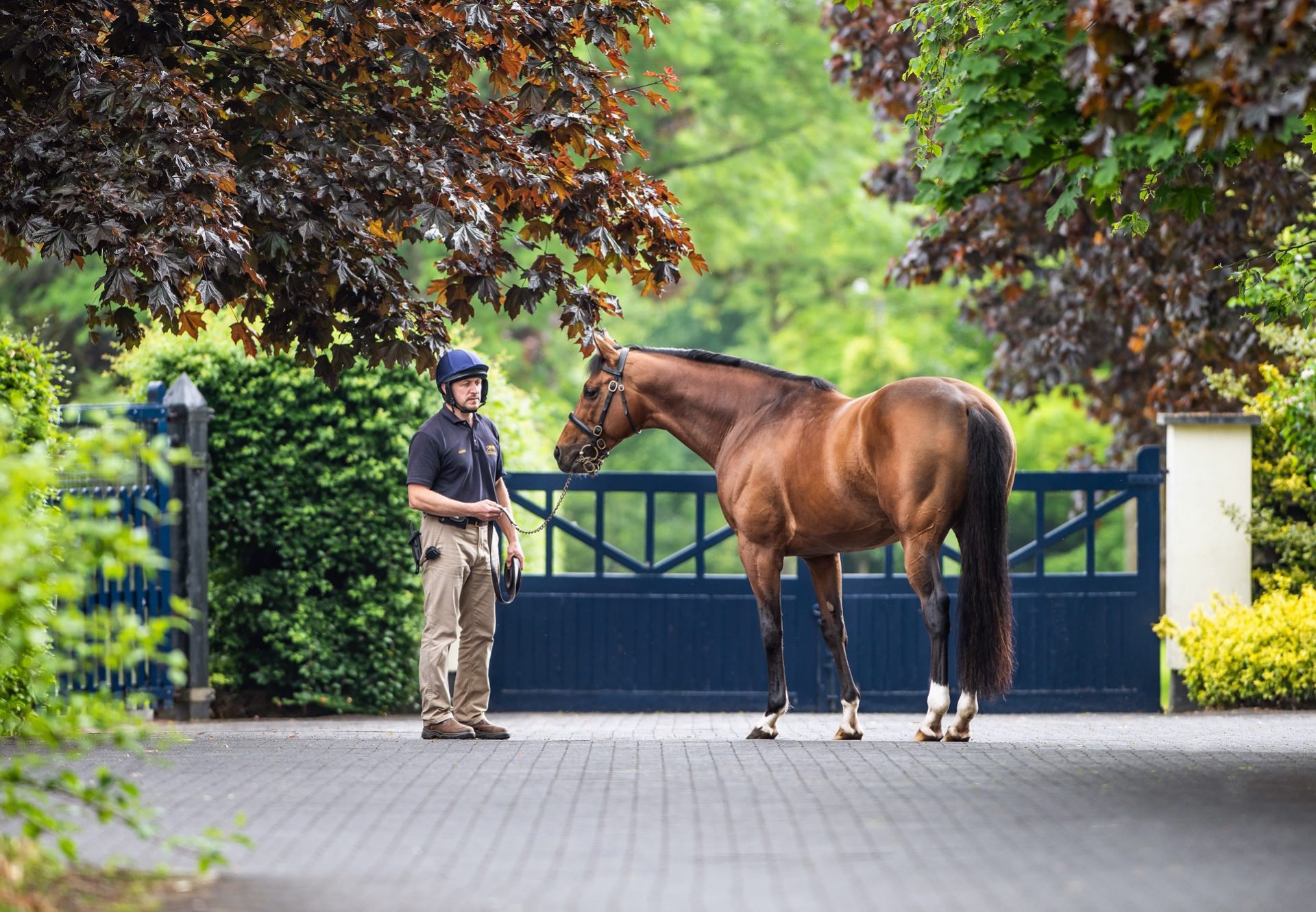 Gleneagles Standing