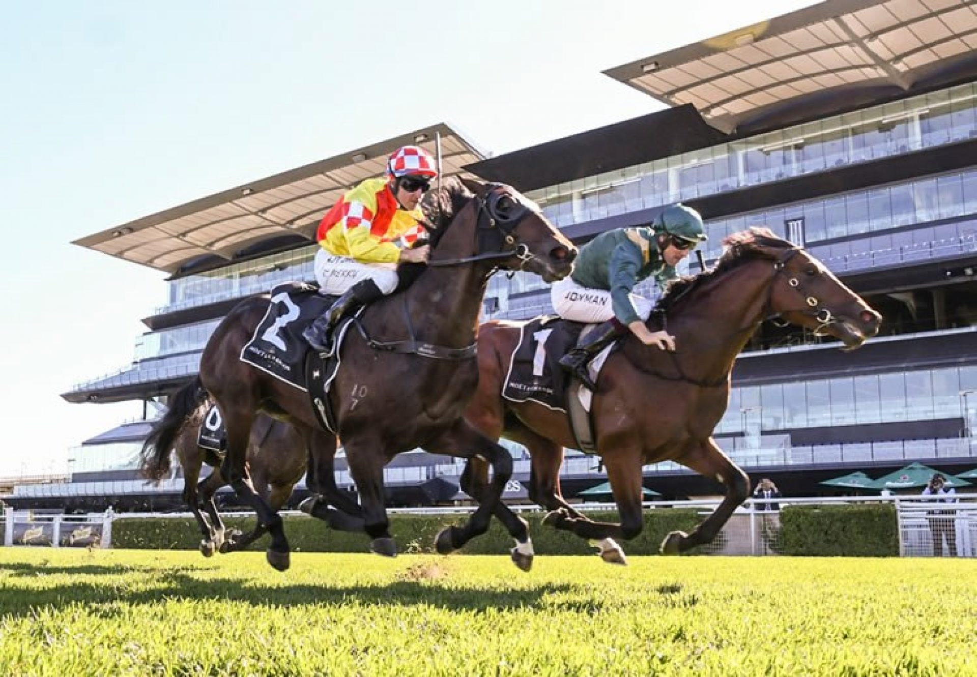 Glenfiddich (Fastnet Rock) finishing second in the Gr.1 Champagne Stakes to King's Legacy