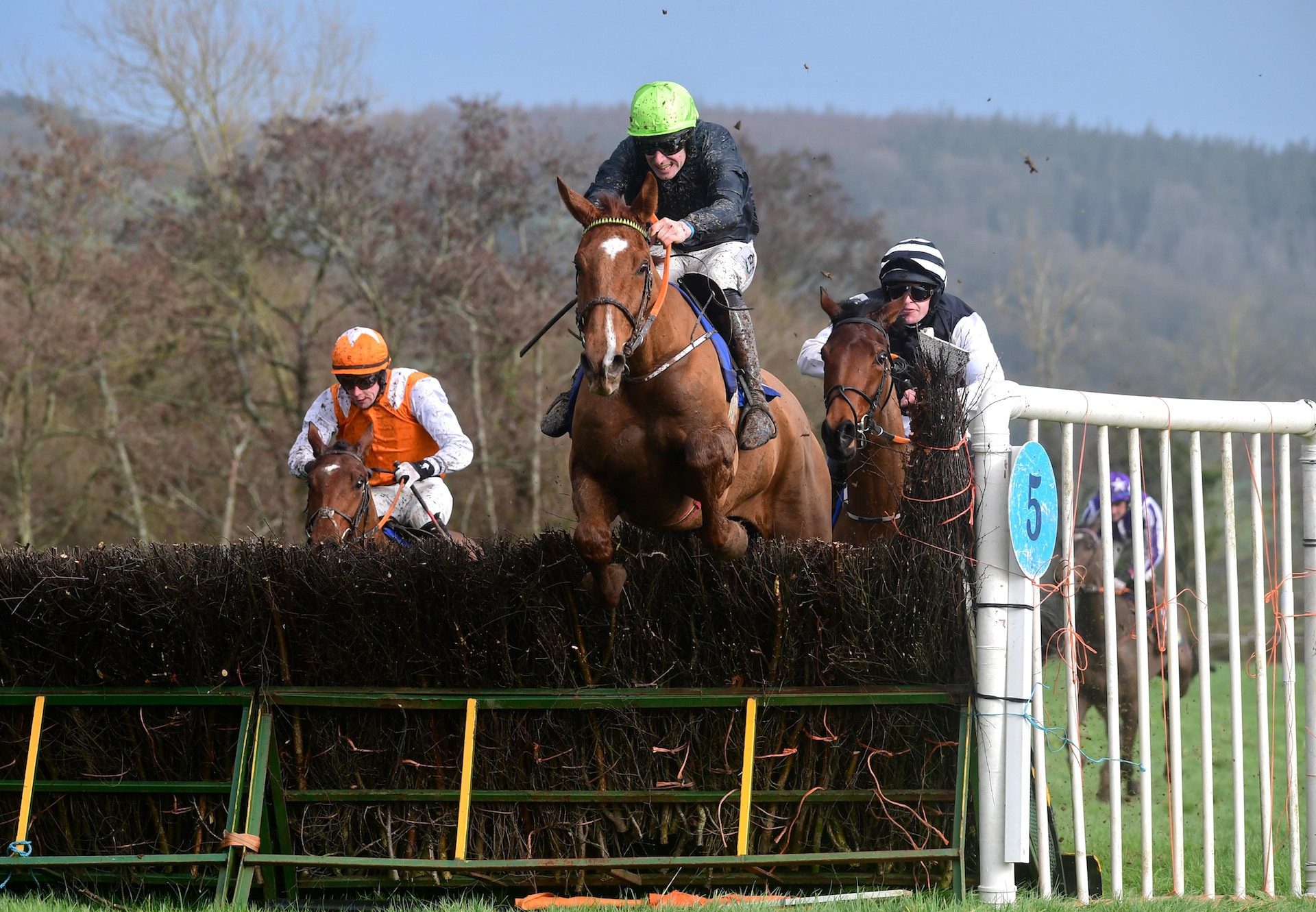 Glenglass (Ocovango) Wins The Tallow 4 Yo Maiden