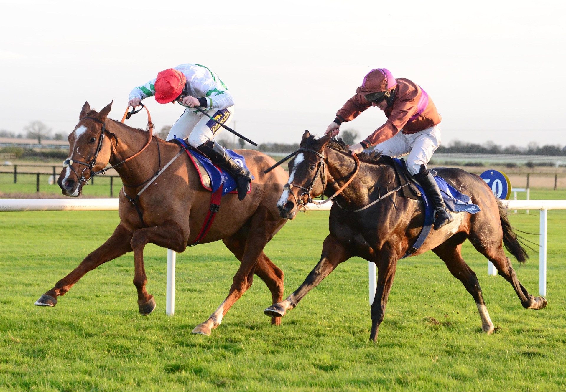 Glenglass (Ocovango) Wins The Point To Point Bumper At Fairyhouse
