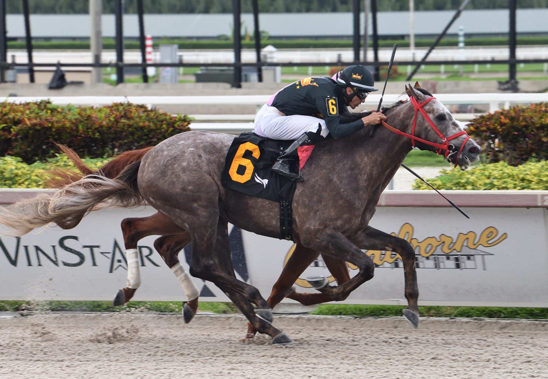 God Is Love (Cupid) Wins Gulfstream Park Maiden