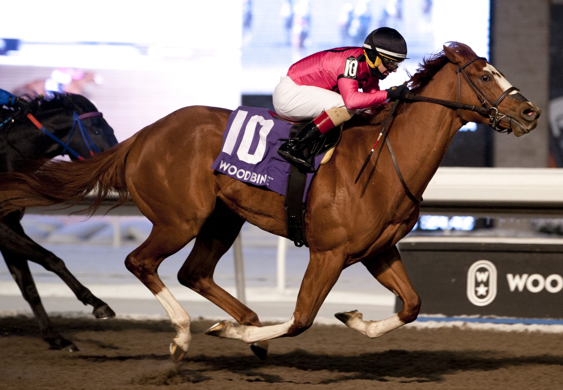 God Of Love (Cupid) won the G3 Grey Stakes at Woodbine