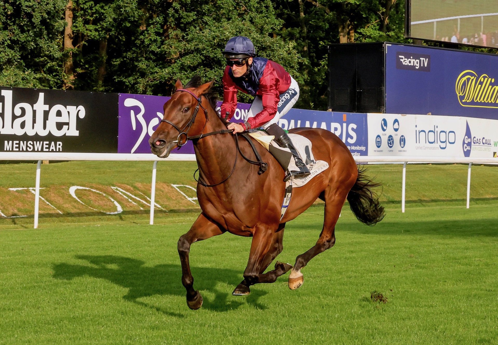 Godwinson (Saxon Warrior) Wins His Maiden At Hamilton