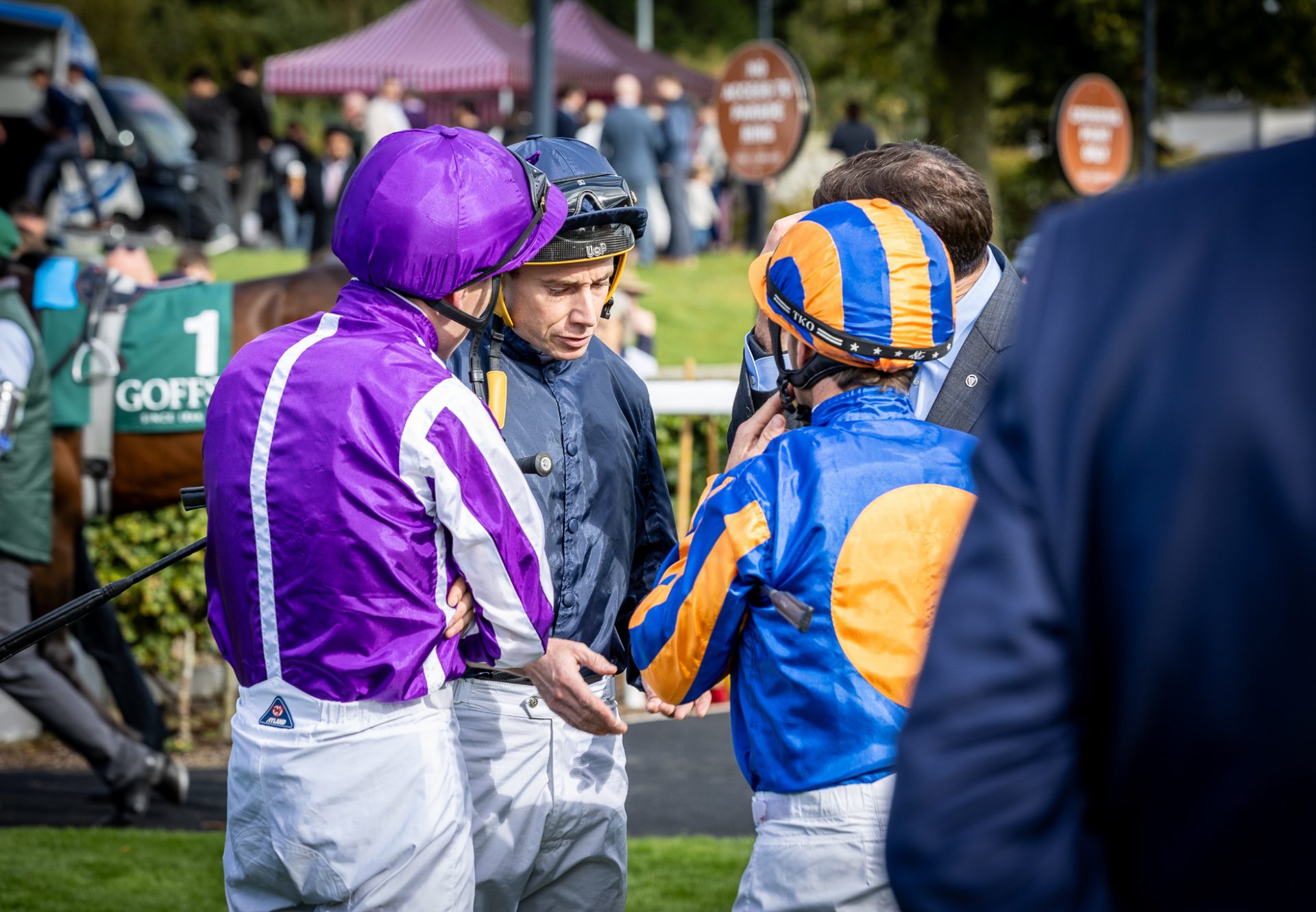 Goffs Group 1 National Stakes Coolmore 6