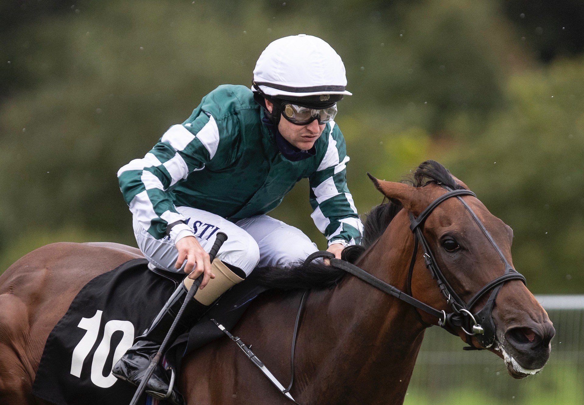 Golddragon Reef (Fastnet Rock) Wins A Bellewstown Maiden