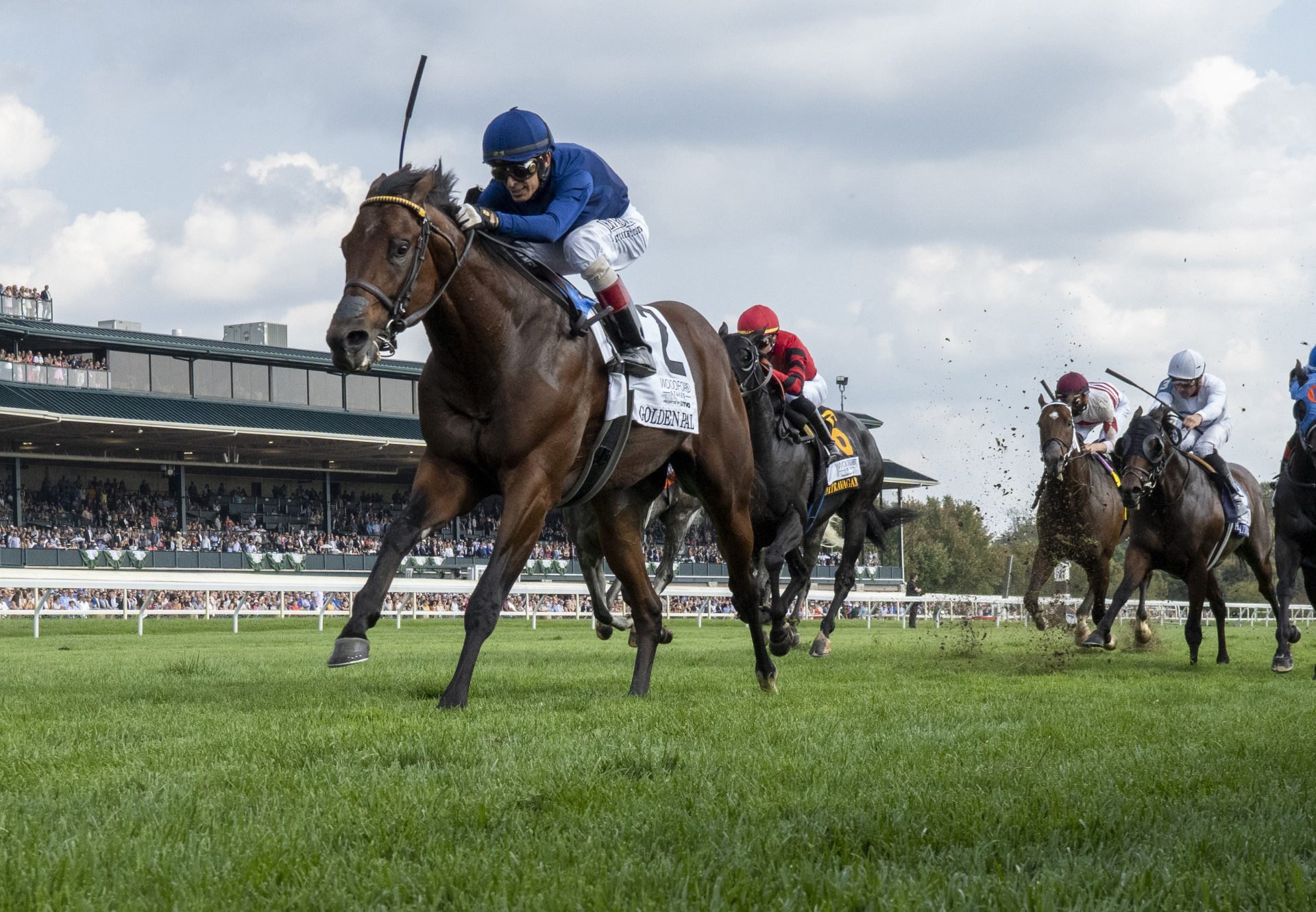 Golden Pal (Uncle Mo) winning the Gr.2 Woodford Stakes