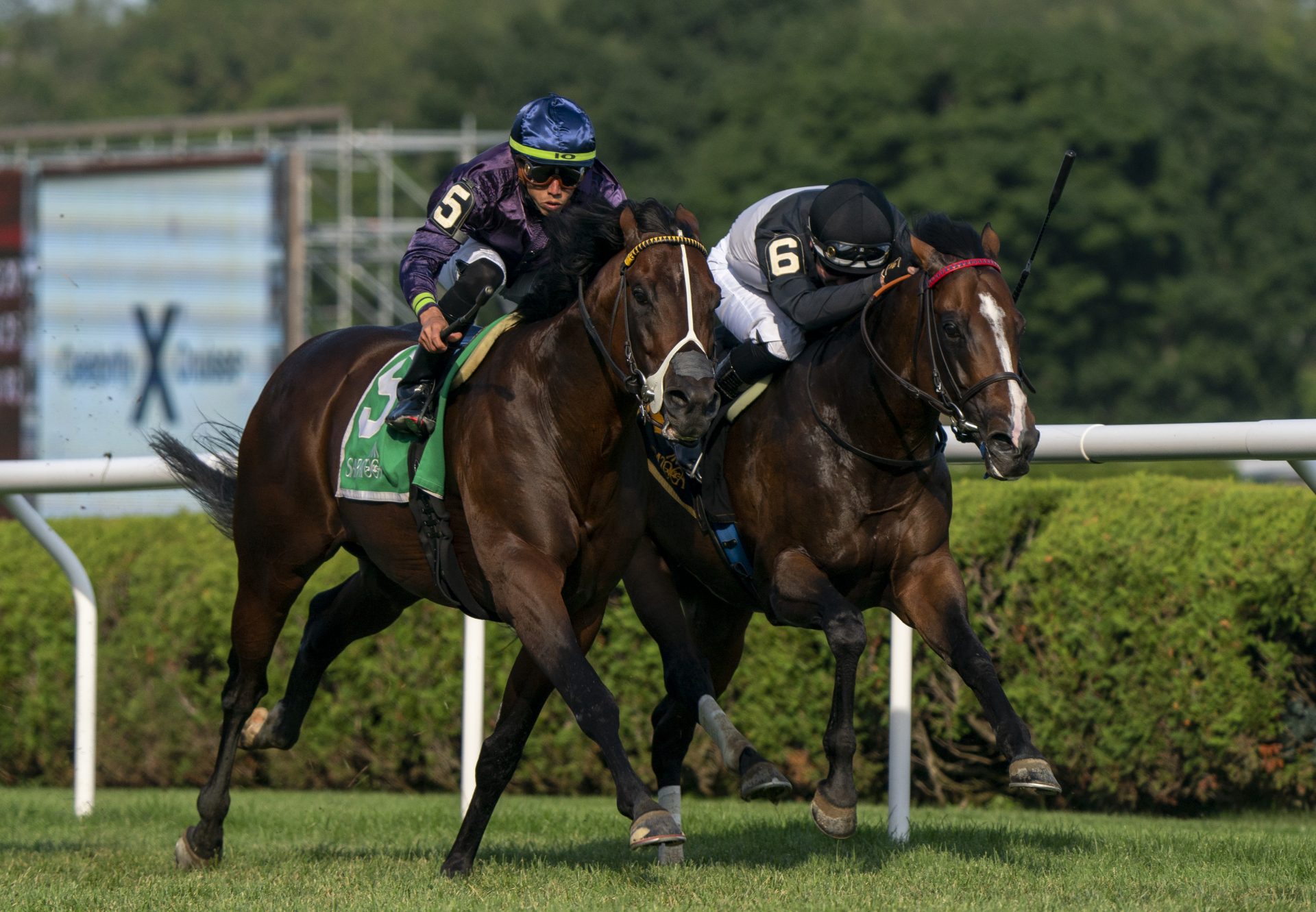 Golden Pal (Uncle Mo) G3 Troy Stakes at Saratoga