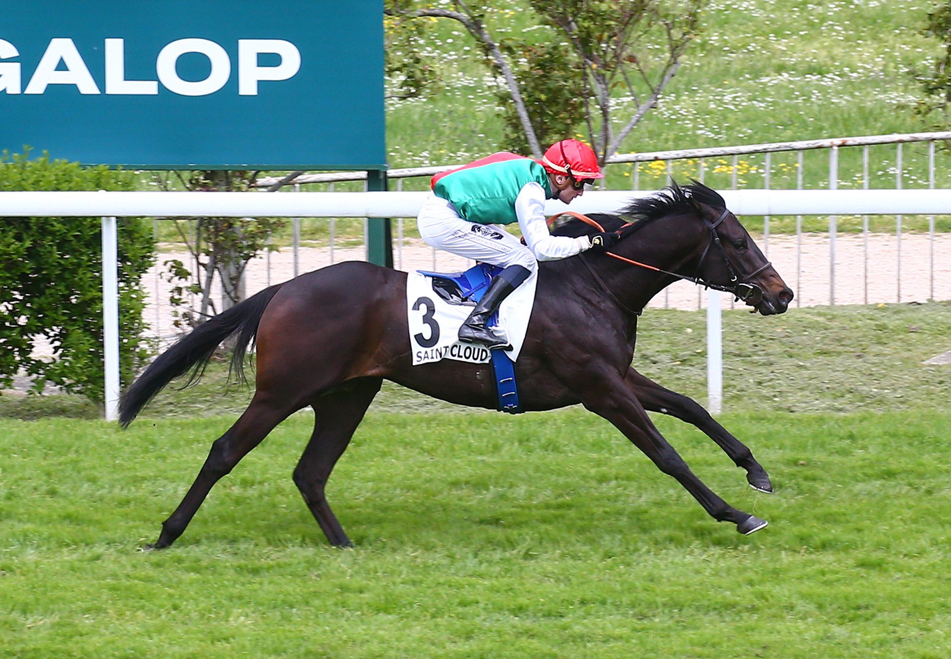 Grand Son Of Calyx (Calyx) winning at Saint Cloud