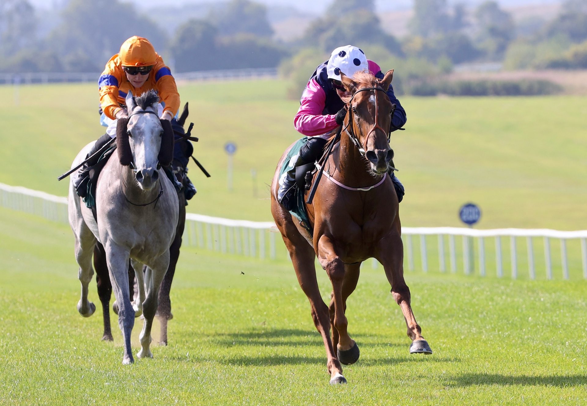 Grande Marques (Starspangledbanner) Wins At Navan