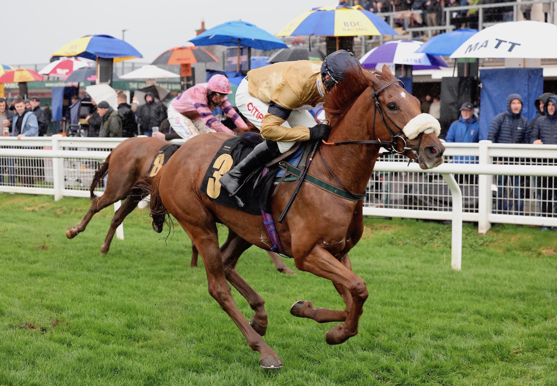 Grove Road (Mahler) Wins The Novices Hurdle At Carlisle