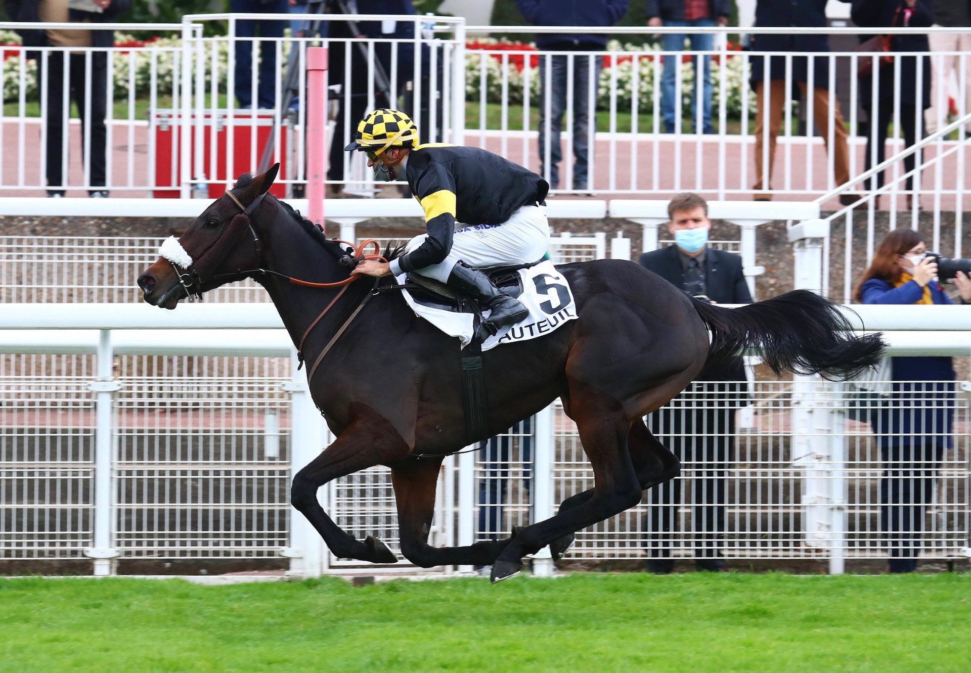 Guerre Des Gaules (Walk In The Park) Wins At Auteuil