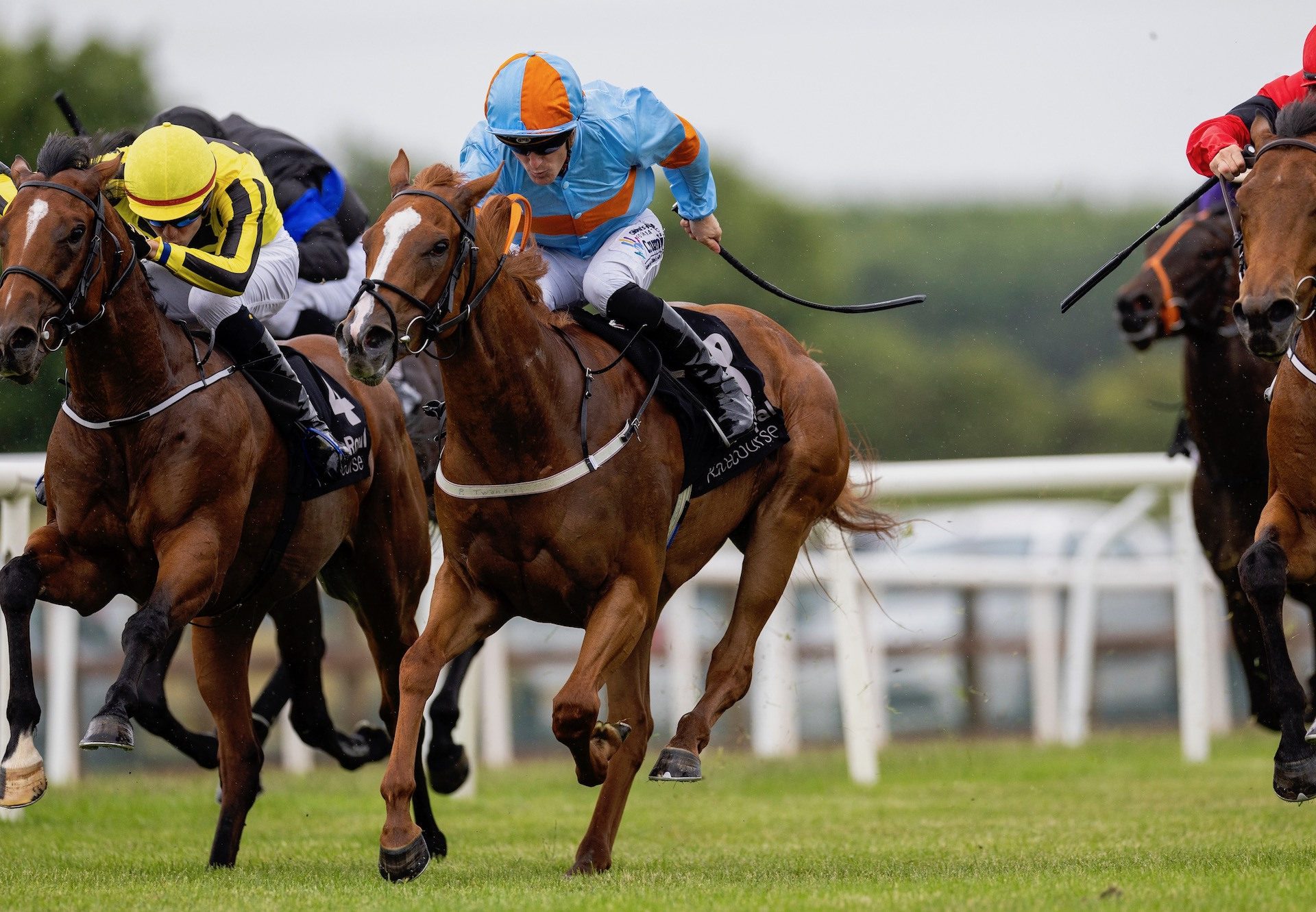 Gunzburg (Sioux Nation) Wins Her Maiden at Down Royal