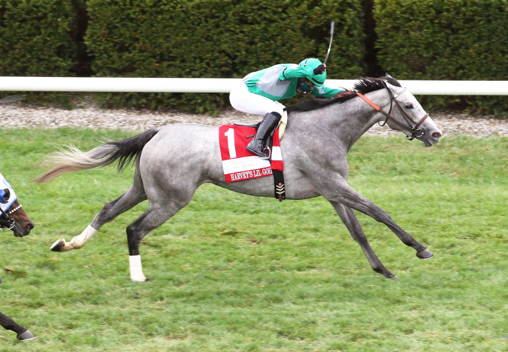 Harvey's Lil Goil (American Pharoah) Wins Gr.1 Queen Elizabeth Ii Challenge Cup at Keeneland