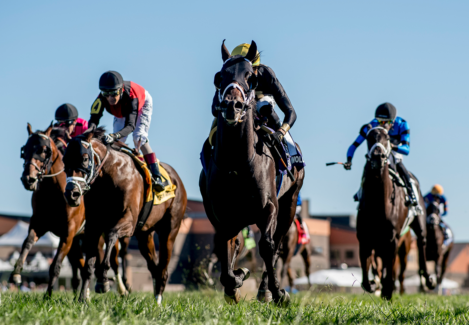 Howard Wolowitz Munnings Wins Gr 1 Franklin Simpson