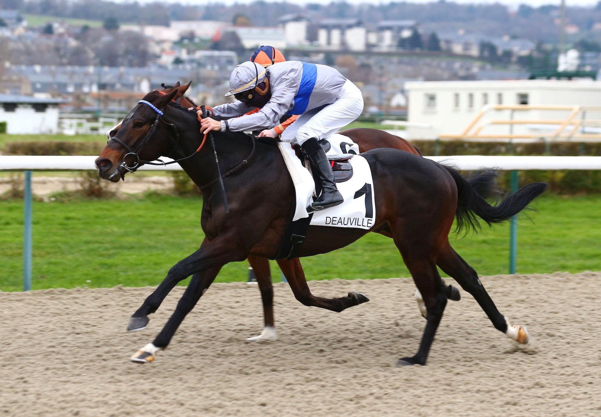 Habshan (Starspangledbanner) winning at Deauville