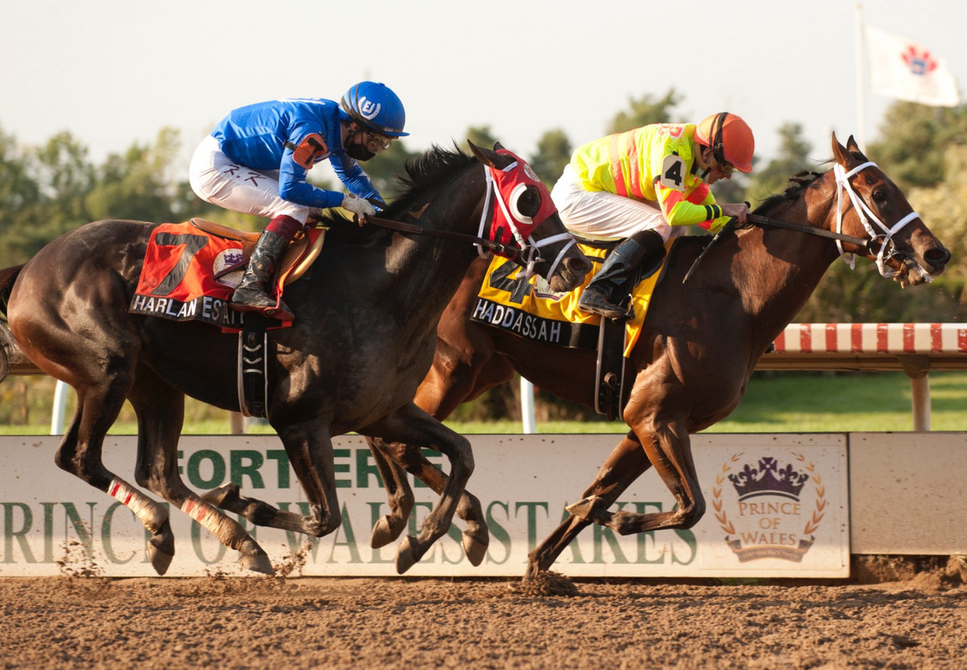 Haddassah (Air Force Blue) Wins Prince Of Wales Stakes